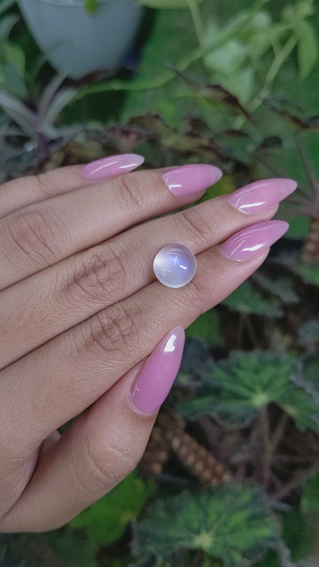 4.49 Ct. Cabochon Moonstone from Ceylon (Sri Lanka) Size Video