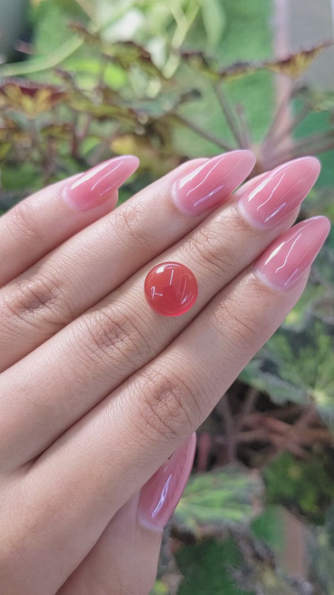 4.76 Ct. Cabochon Carnelian from Brazil Size Video