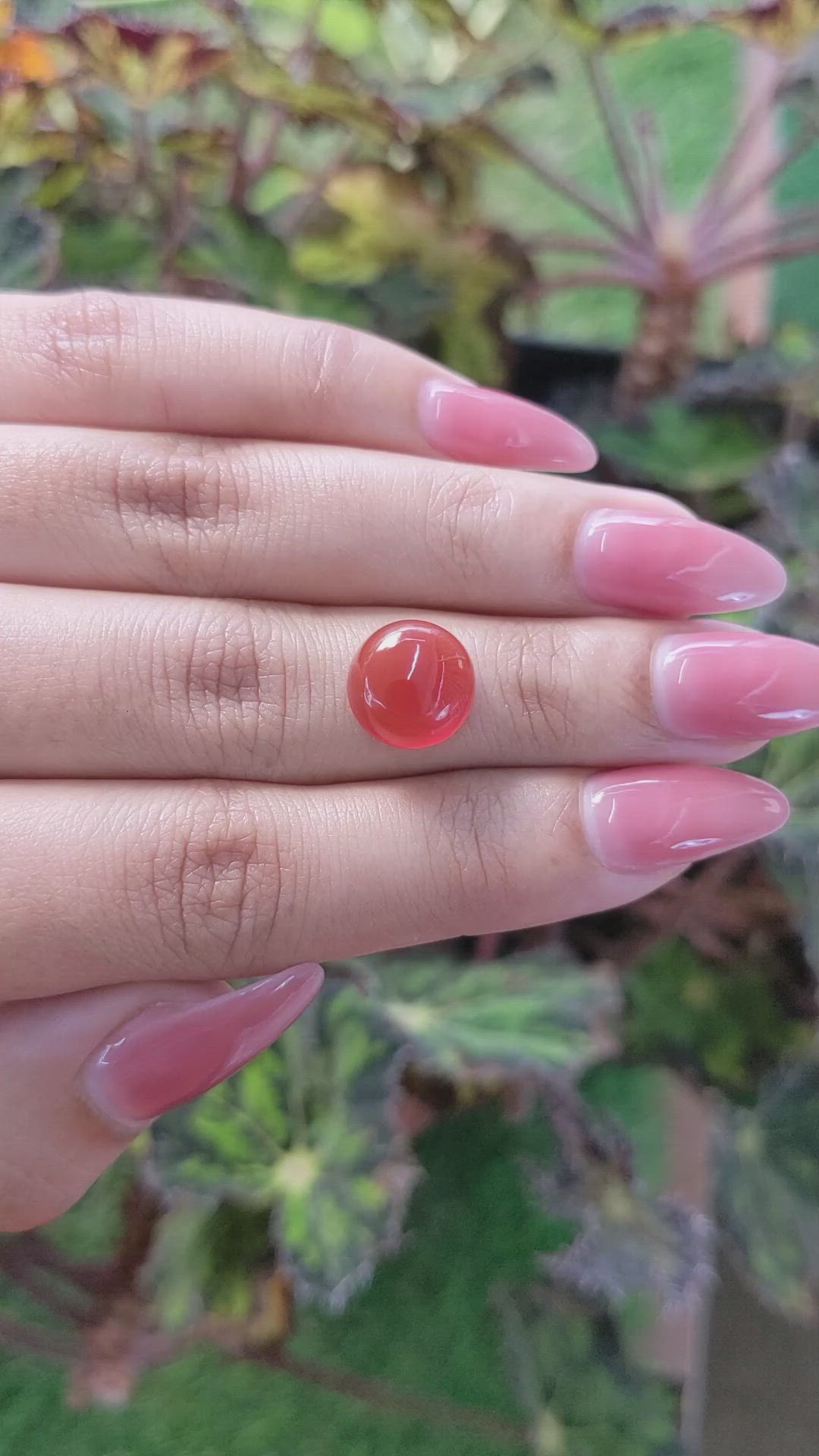 4.76 Ct. Cabochon Carnelian from Brazil Size Video