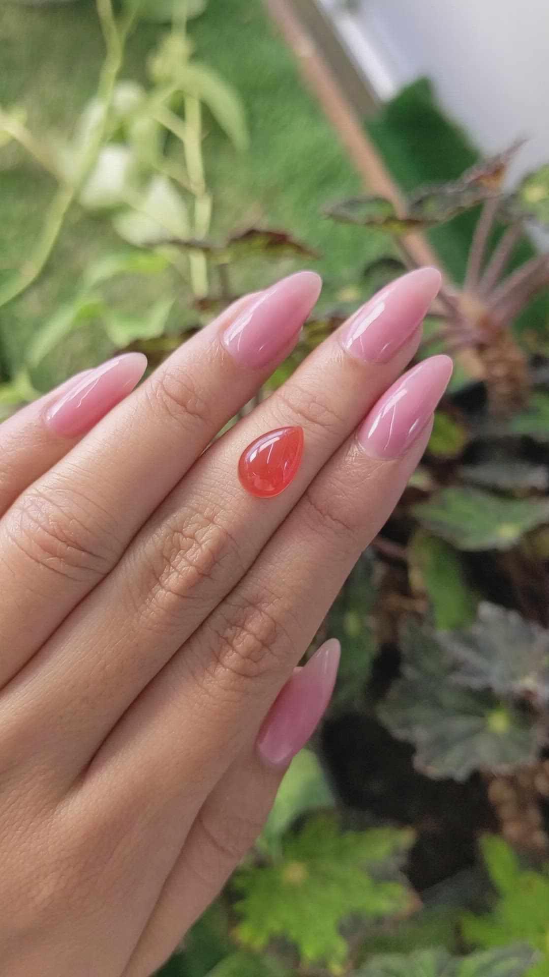 4.27 Ct. Cabochon Carnelian from Brazil Size Video