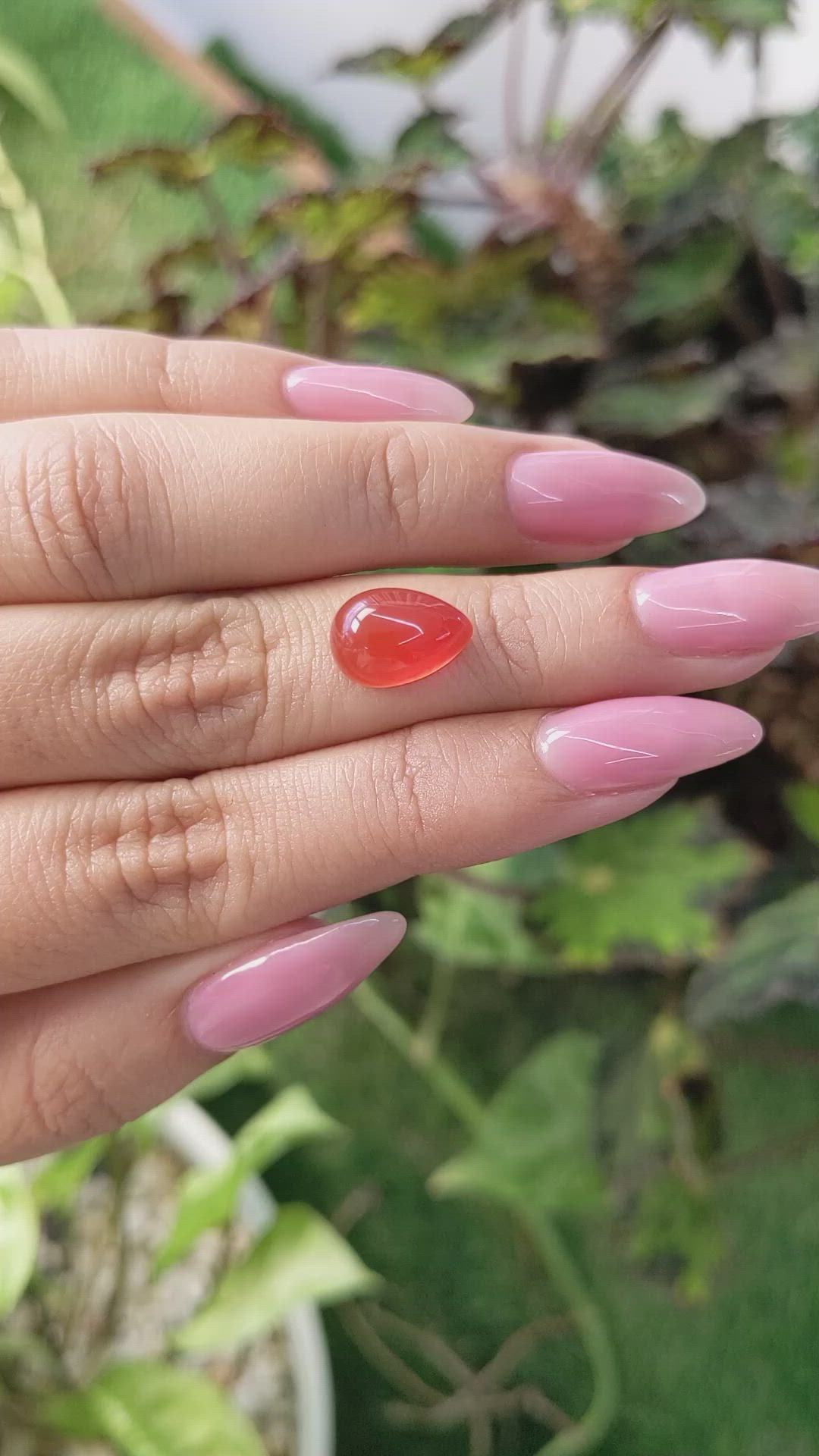 4.27 Ct. Cabochon Carnelian from Brazil Size Video