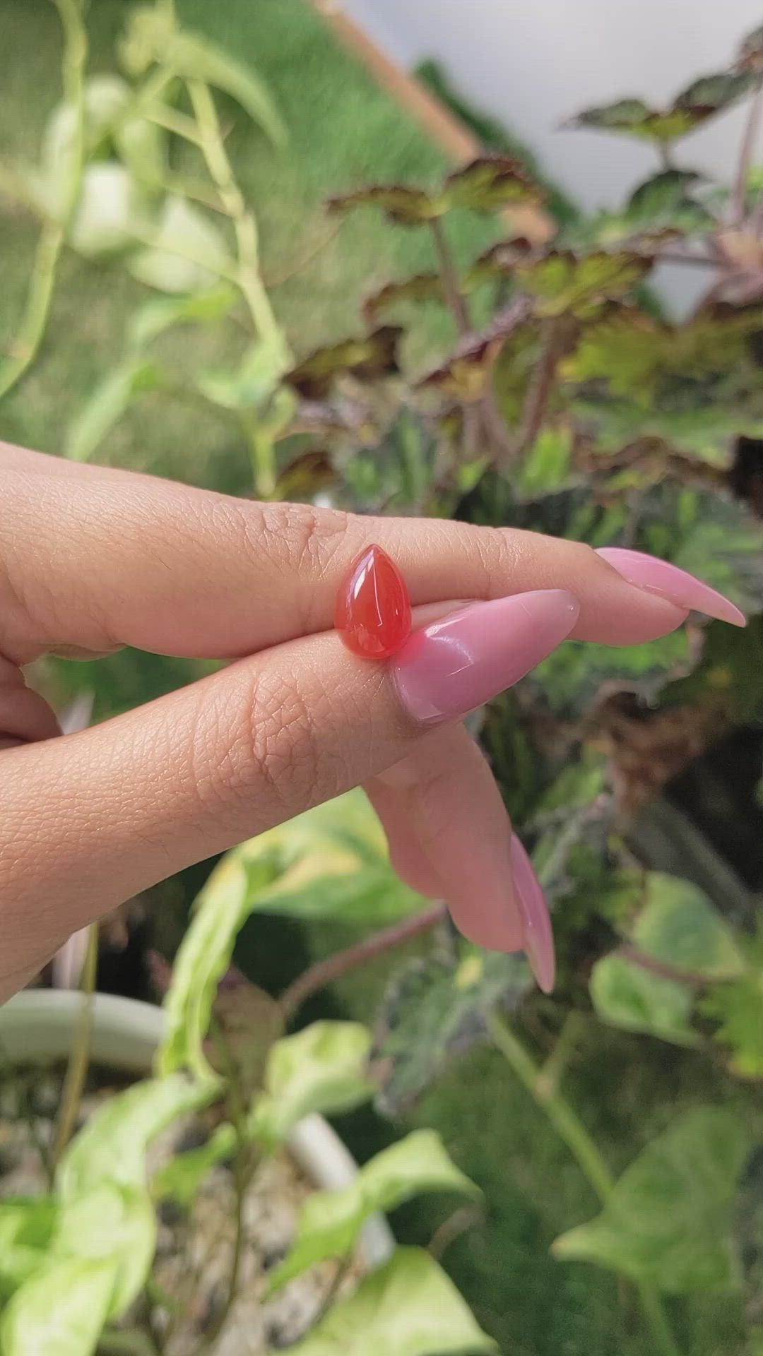 4.27 Ct. Cabochon Carnelian from Brazil Size Video