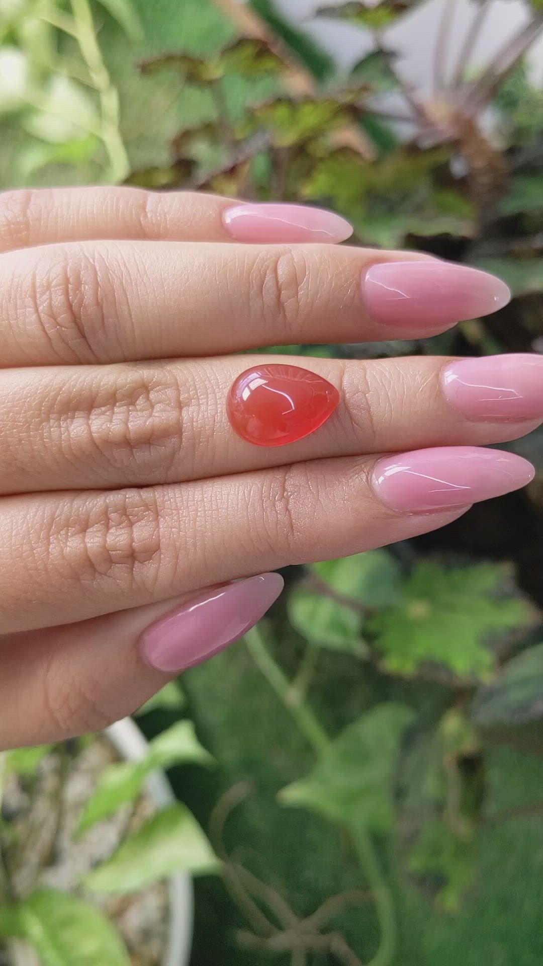 6.23 Ct. Cabochon Carnelian from Brazil Size Video