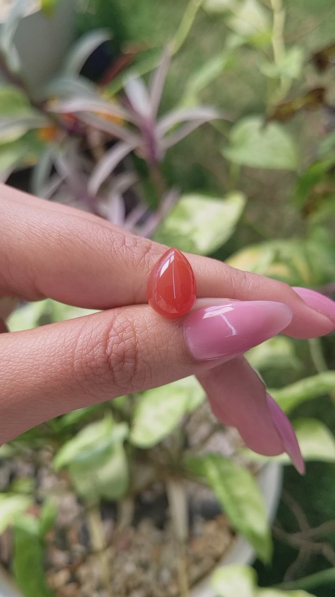 6.23 Ct. Cabochon Carnelian from Brazil Size Video