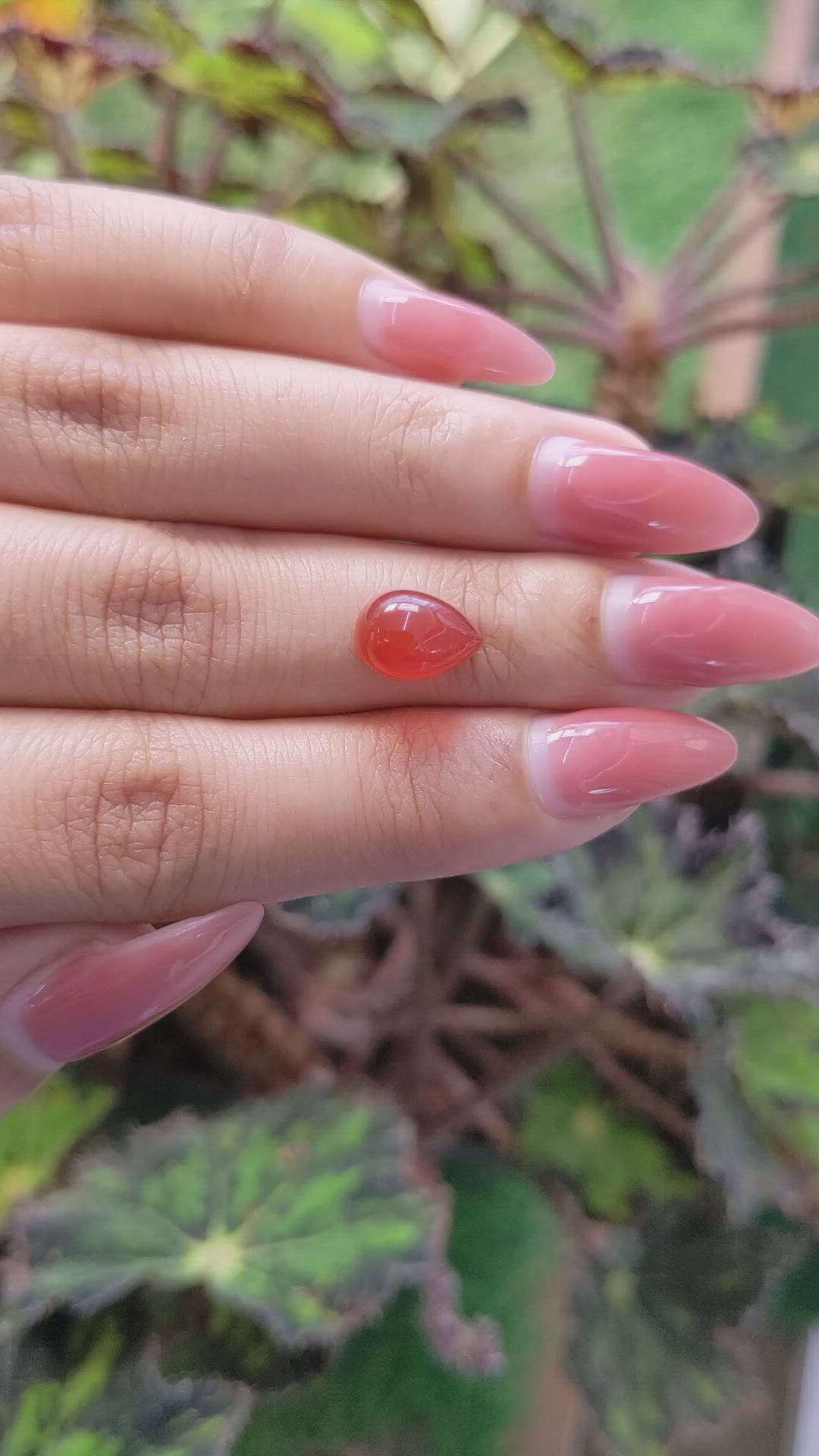 3.04 Ct. Cabochon Carnelian from Brazil Size Video