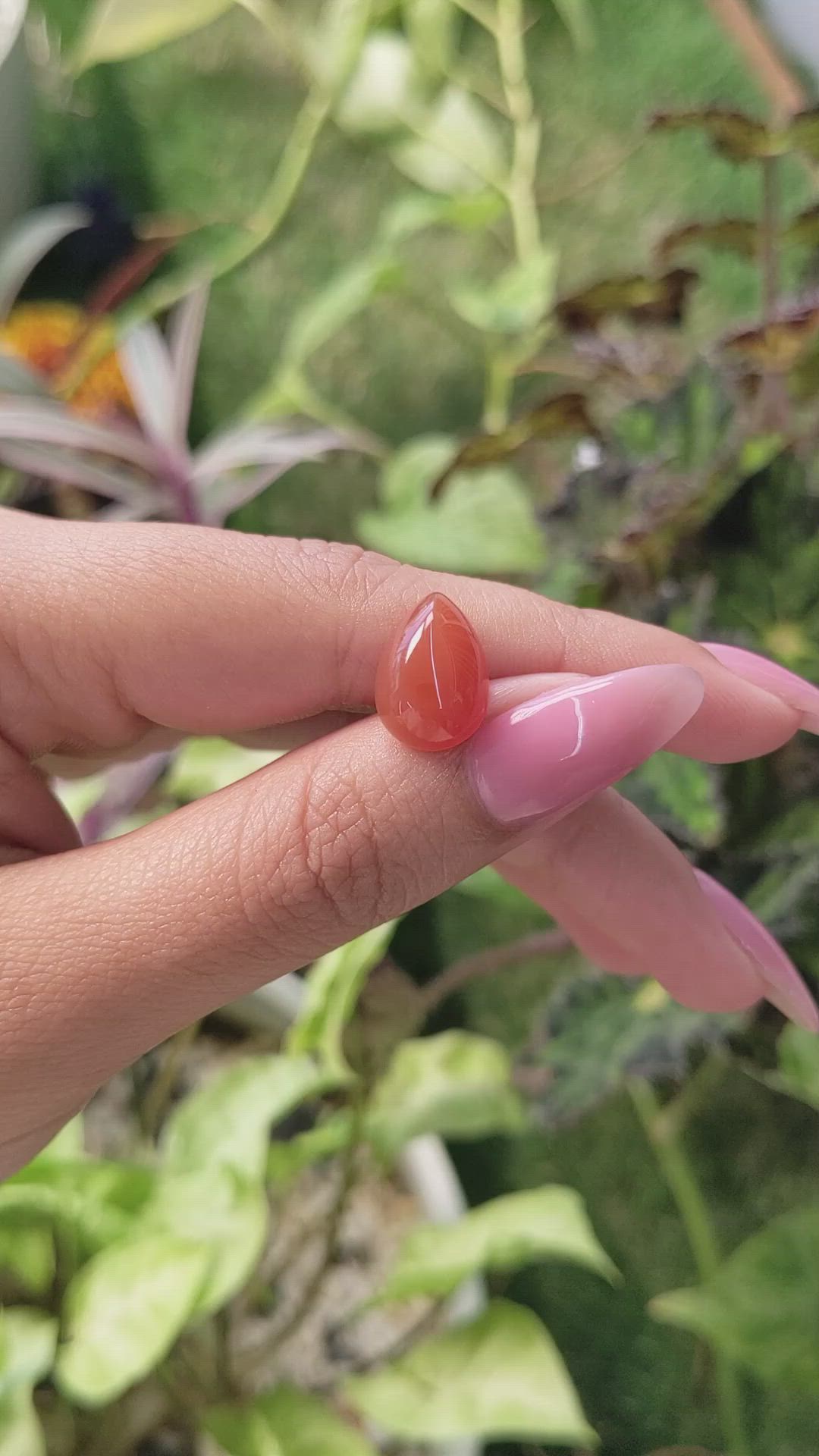 5.63 Ct. Cabochon Carnelian from Brazil Size Video