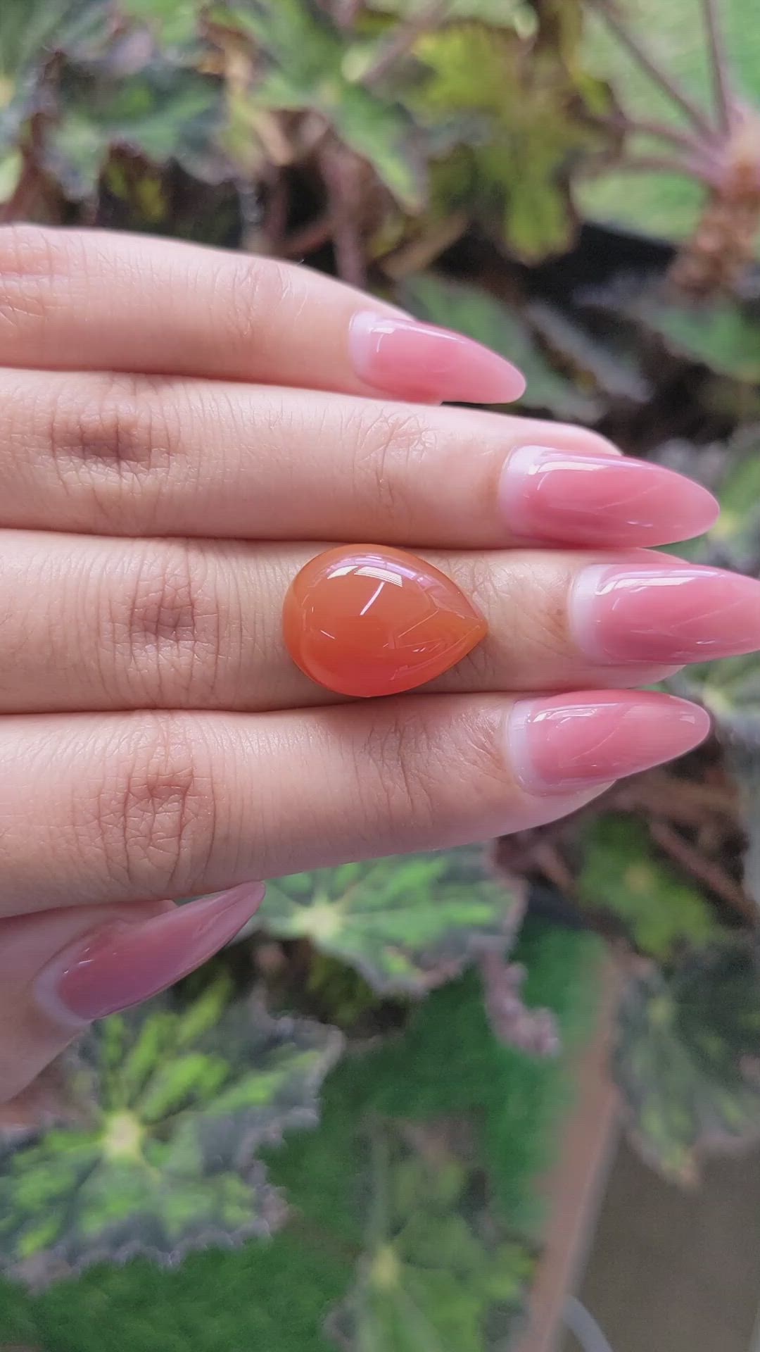 11.34 Ct. Cabochon Carnelian from Brazil Size Video