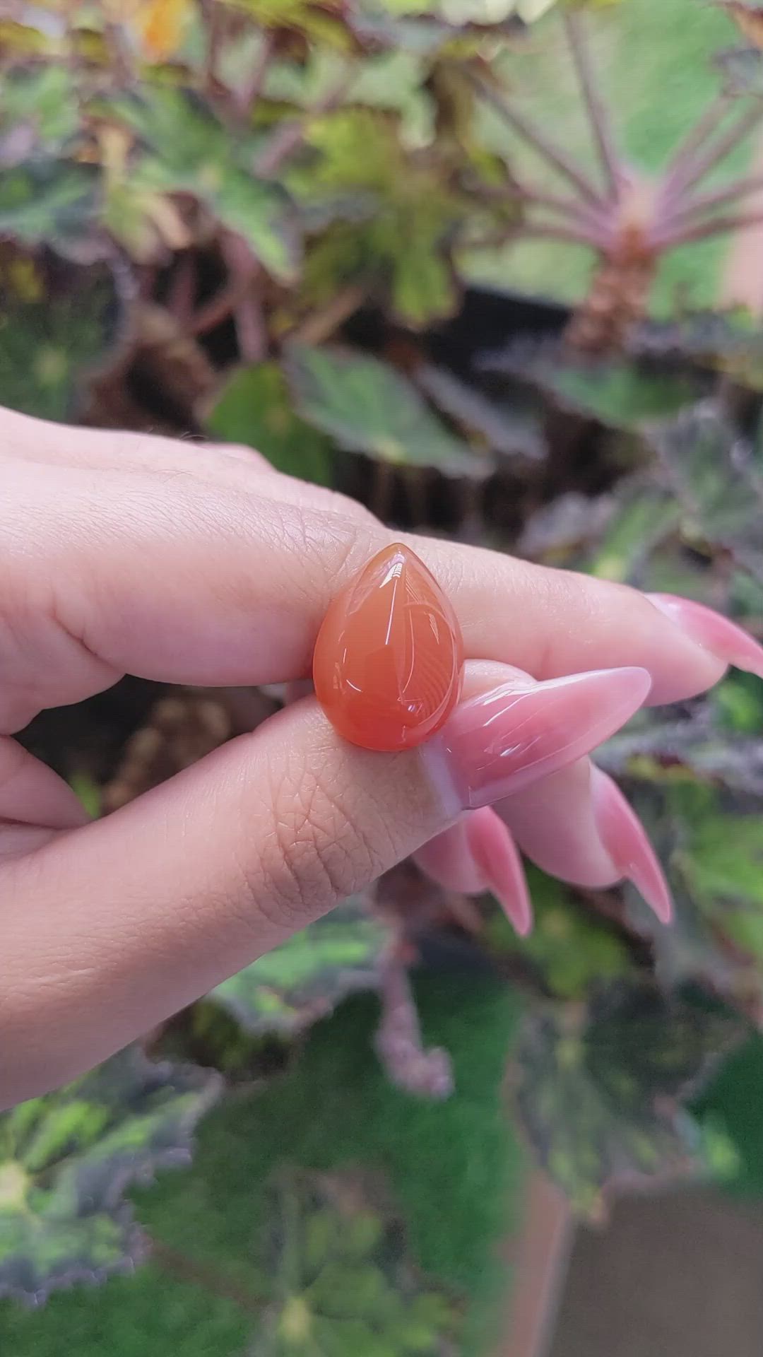 11.34 Ct. Cabochon Carnelian from Brazil Size Video