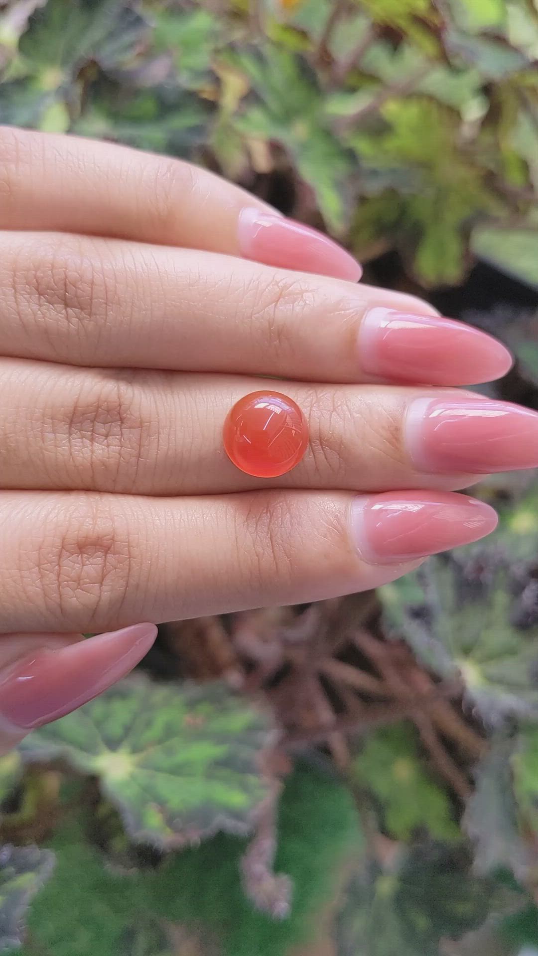 4.29 Ct. Cabochon Carnelian from Brazil Size Video