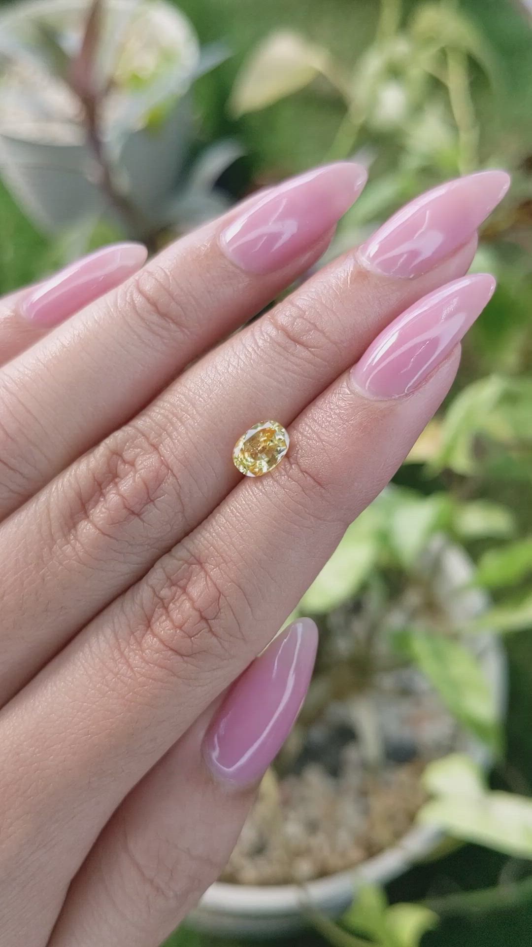 1.36 Ct. Zircon from Ceylon (Sri Lanka) Size Video