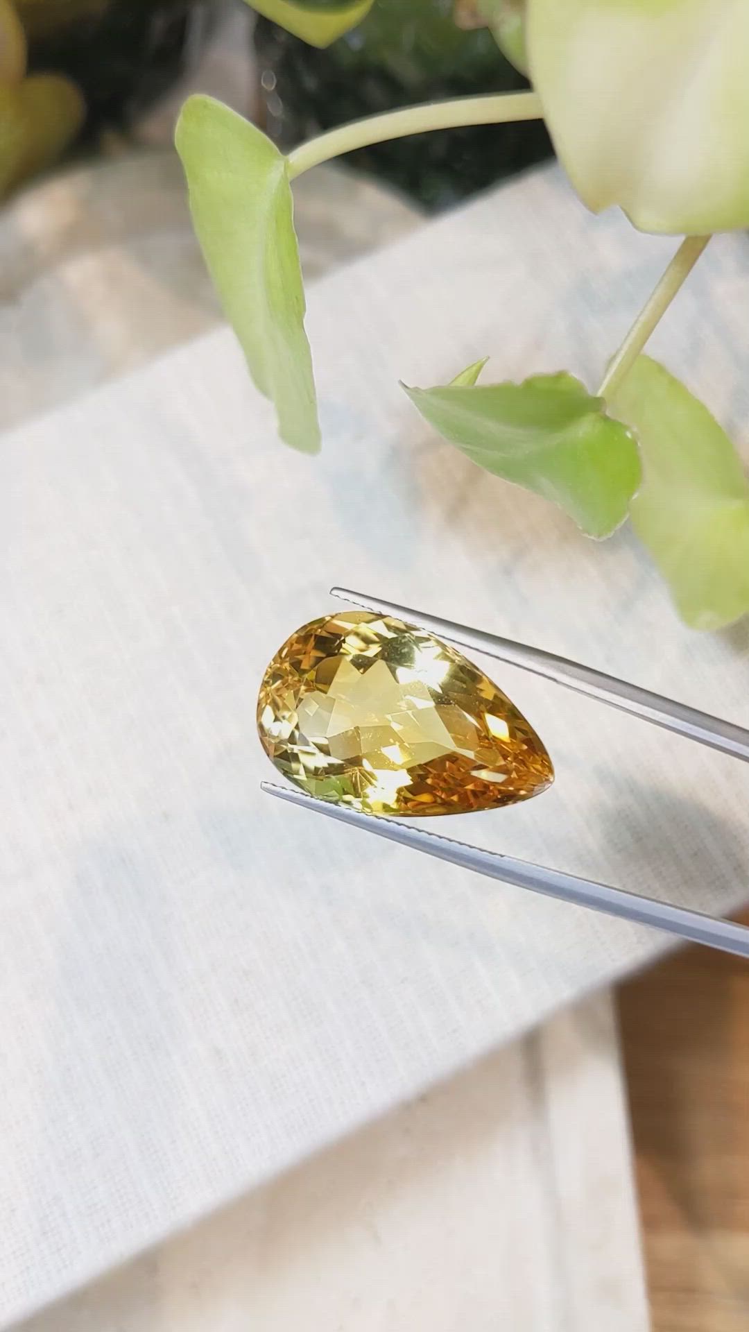 24.15 Ct. Citrine from Brazil Size Video