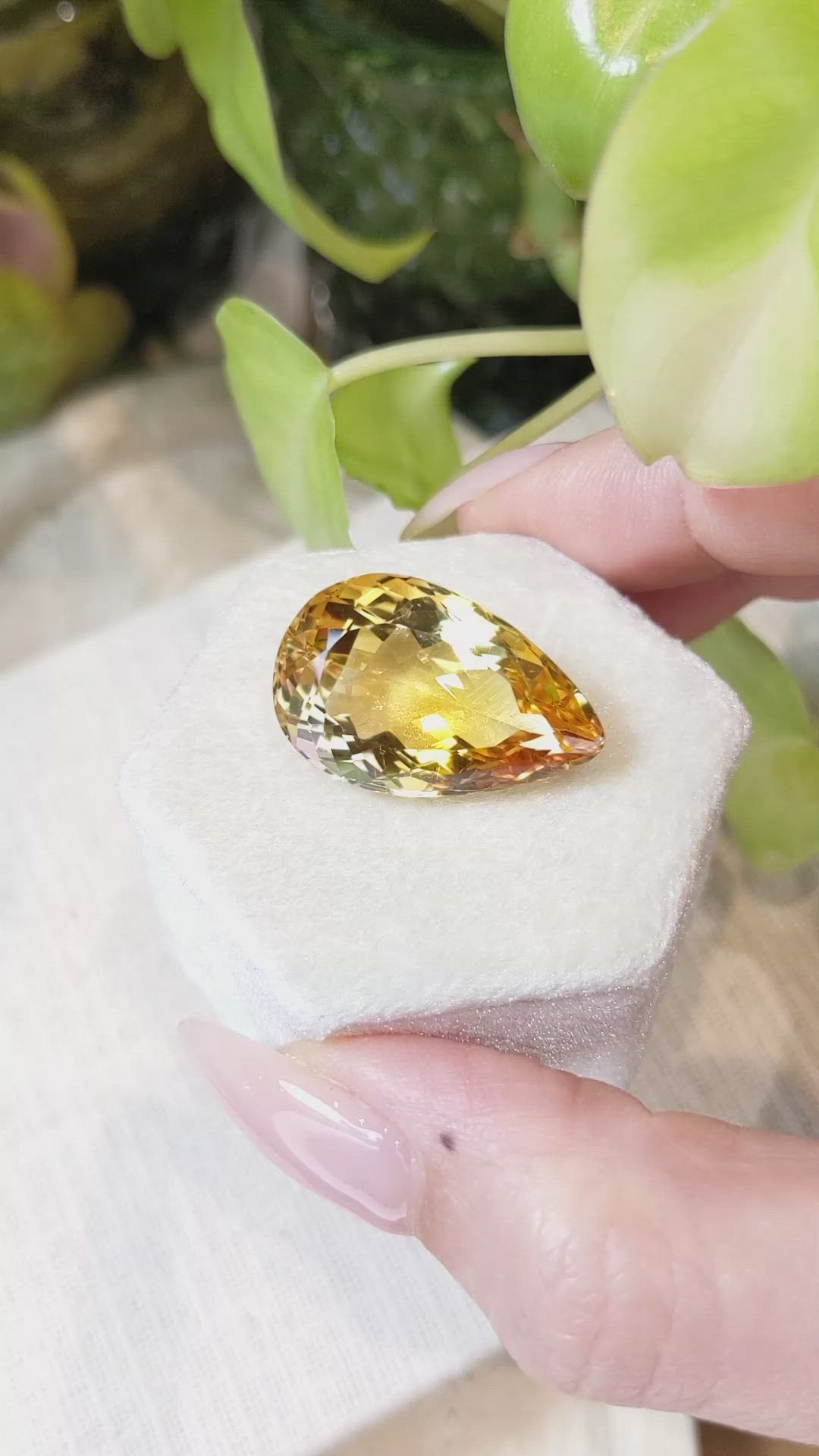 24.15 Ct. Citrine from Brazil Size Video