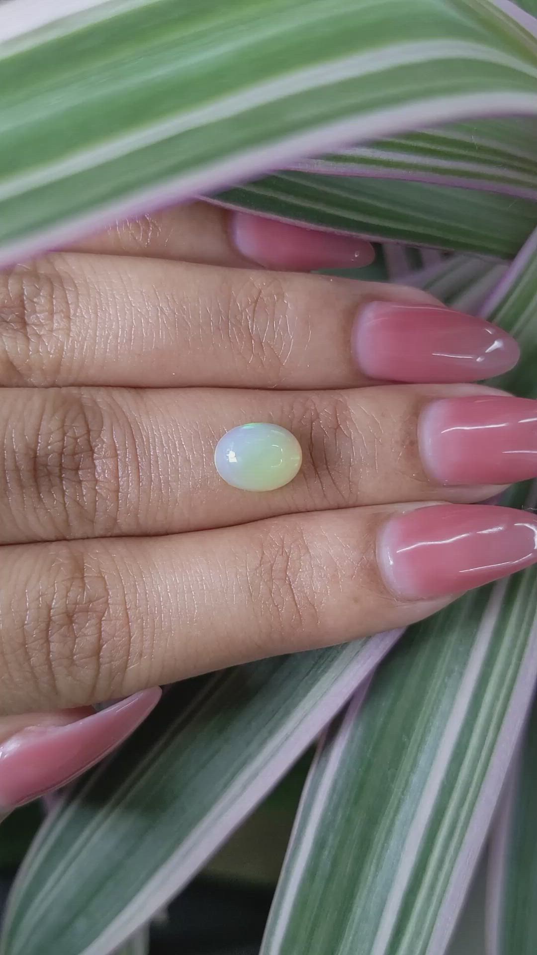 1.13 Ct. Cabochon White Opal from Australia Size Video