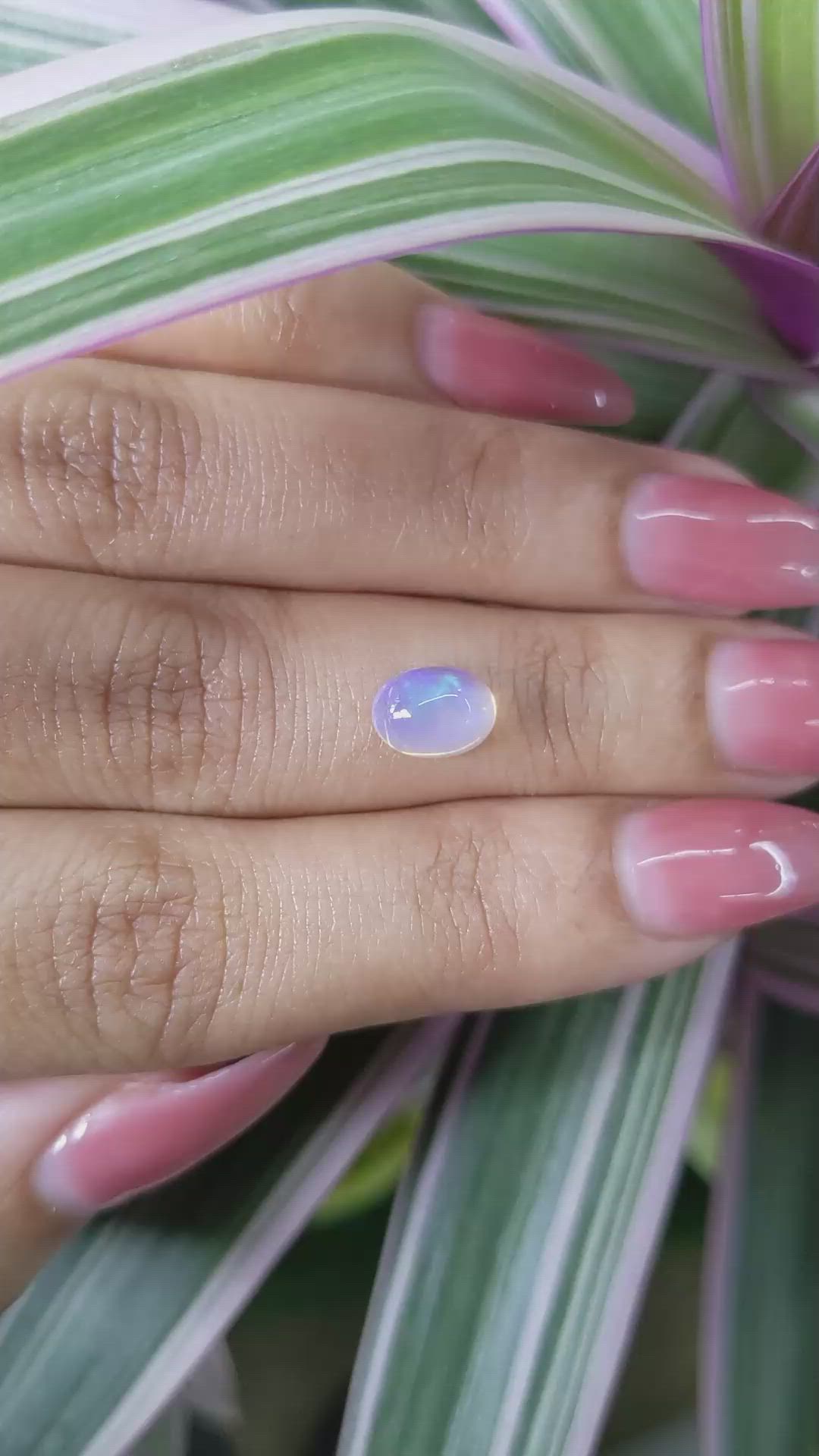 1.18 Ct. Cabochon White Opal from Australia Size Video