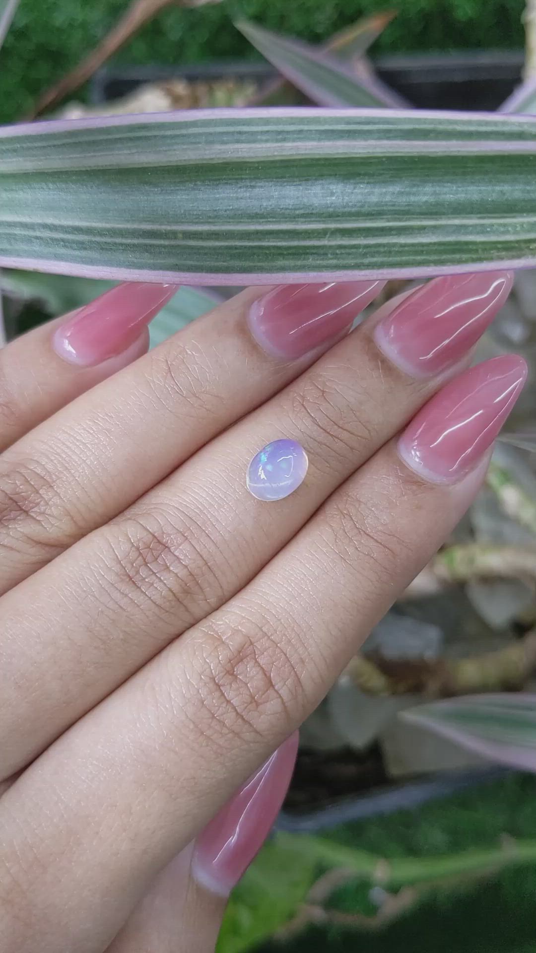 1.03 Ct. Cabochon White Opal from Australia Size Video