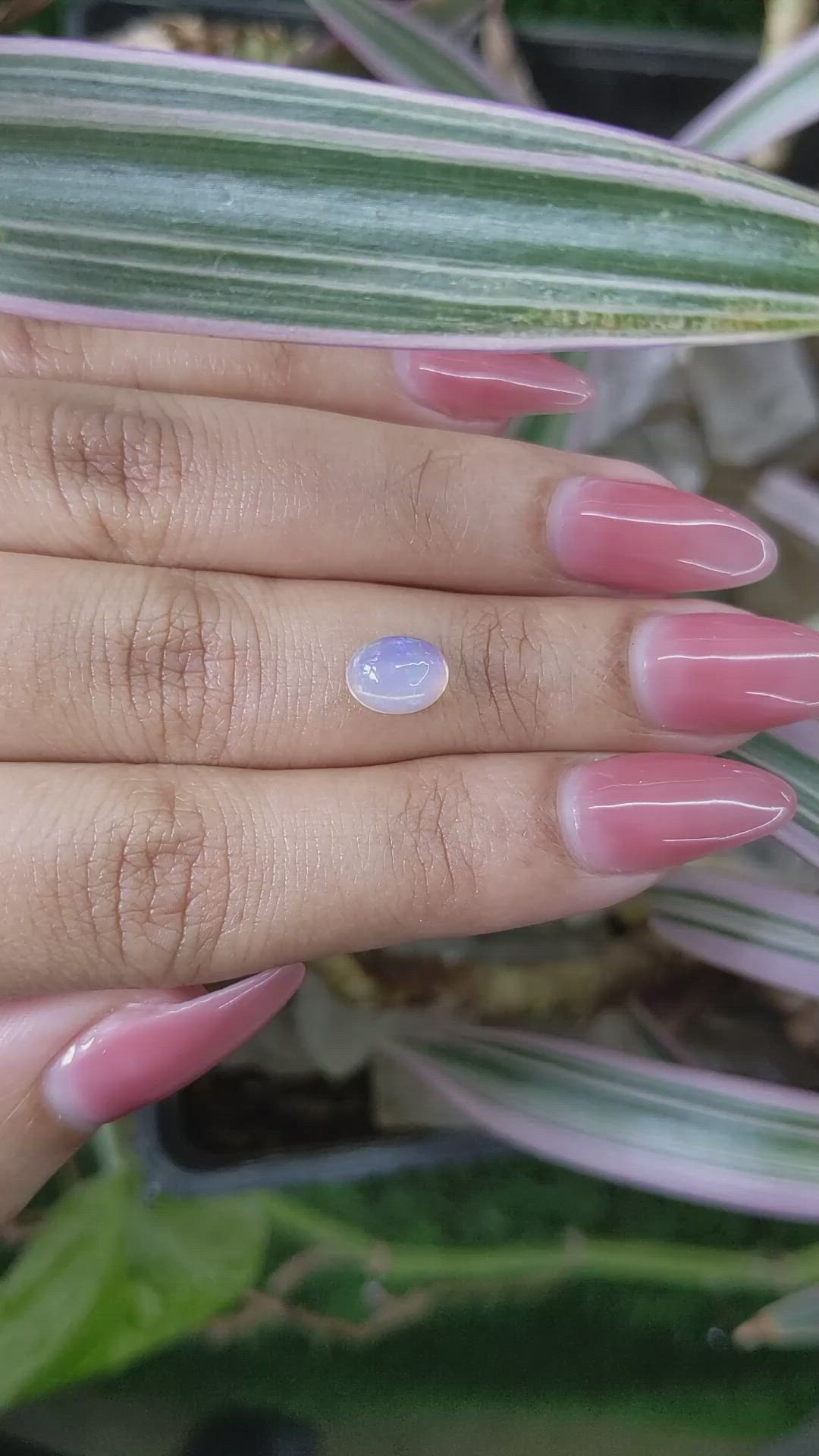 1.03 Ct. Cabochon White Opal from Australia Size Video