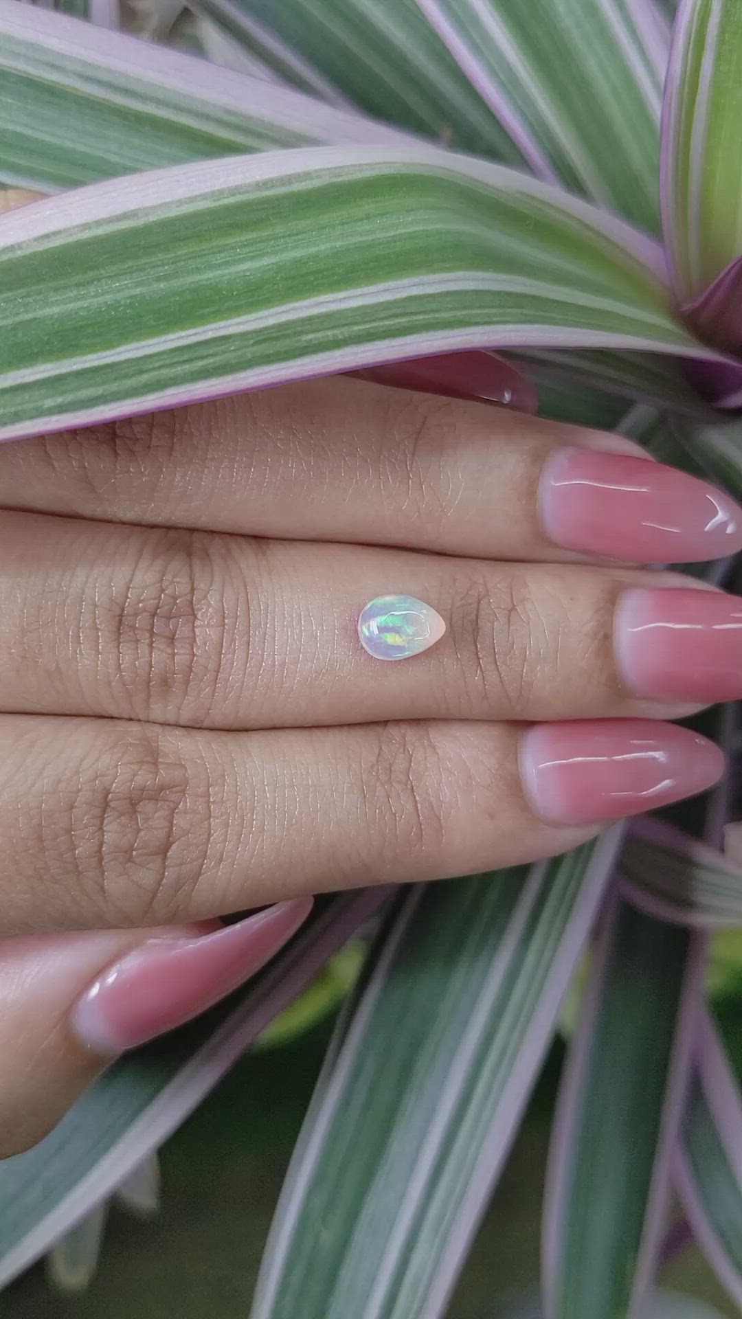 0.68 Ct. Cabochon White Opal from Australia Size Video