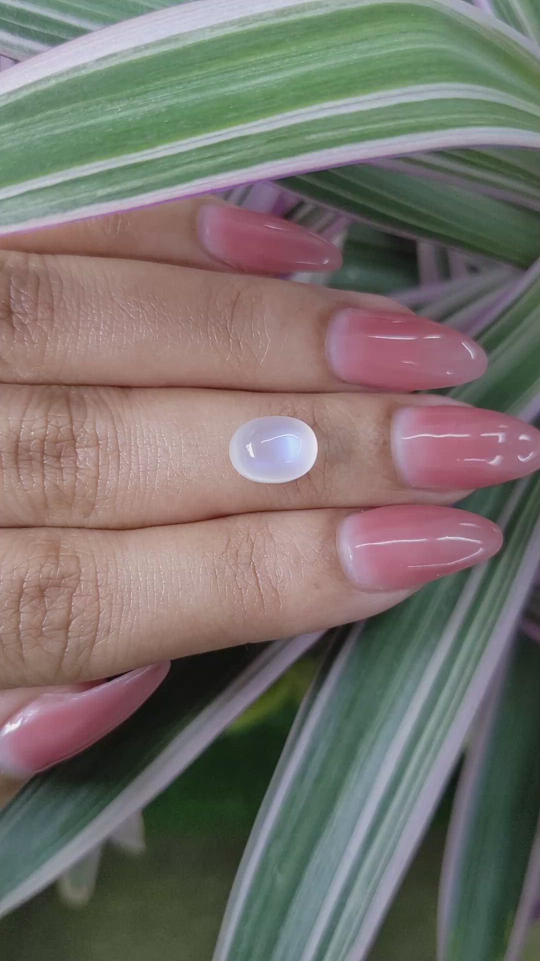 3.06 Ct. Cabochon Moonstone from Madagascar Size Video