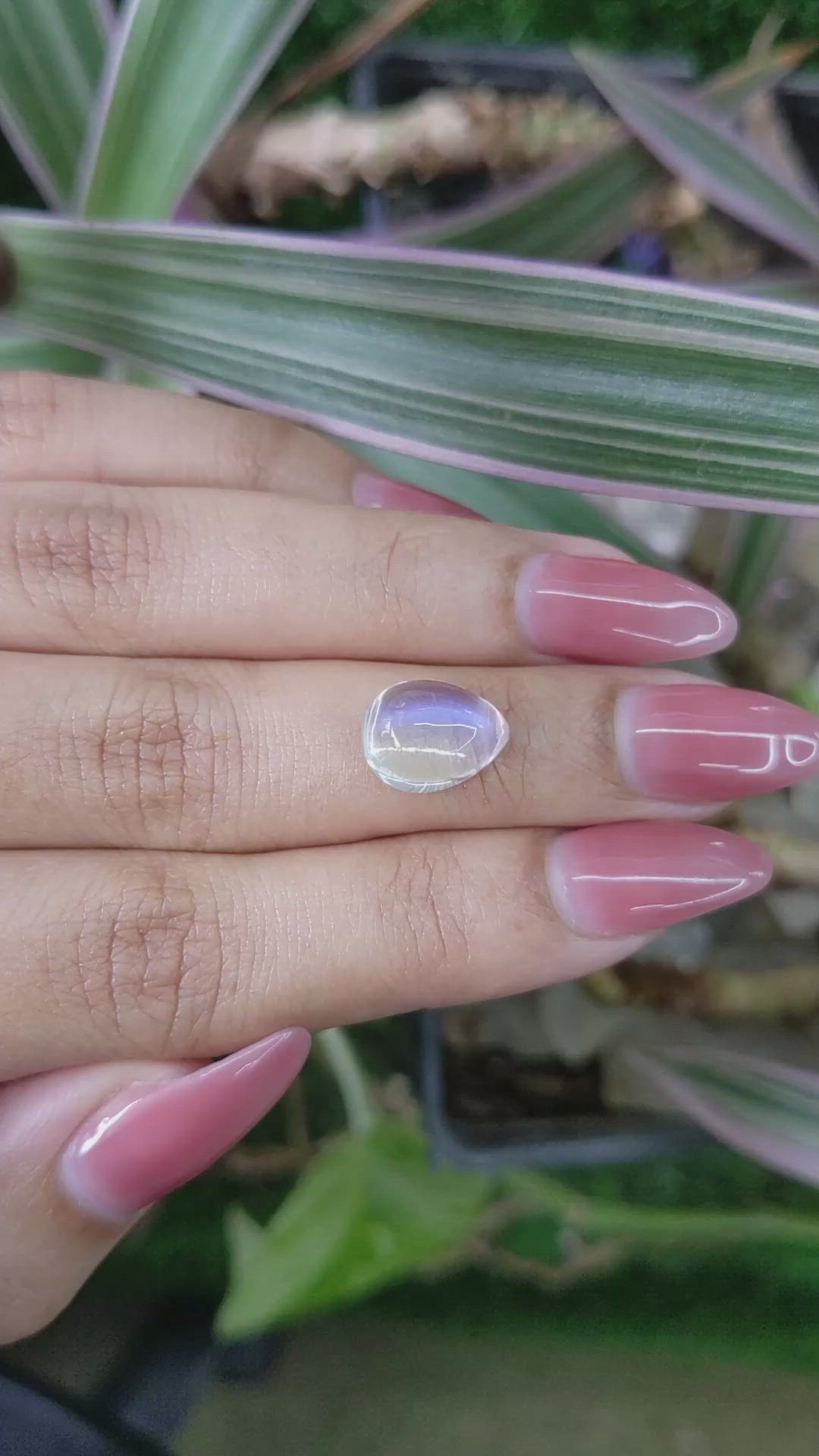 4.81 Ct. Cabochon Moonstone from Madagascar Size Video