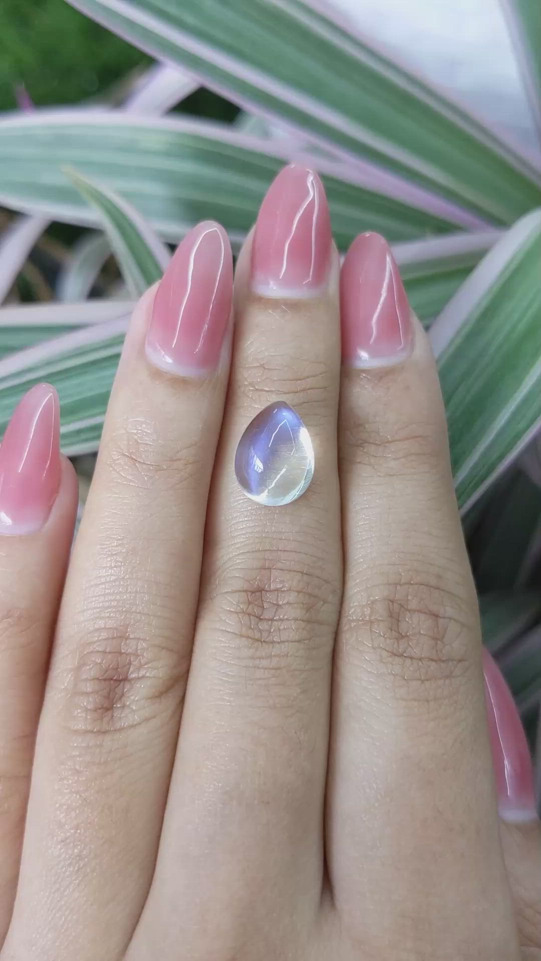 4.81 Ct. Cabochon Moonstone from Madagascar Size Video