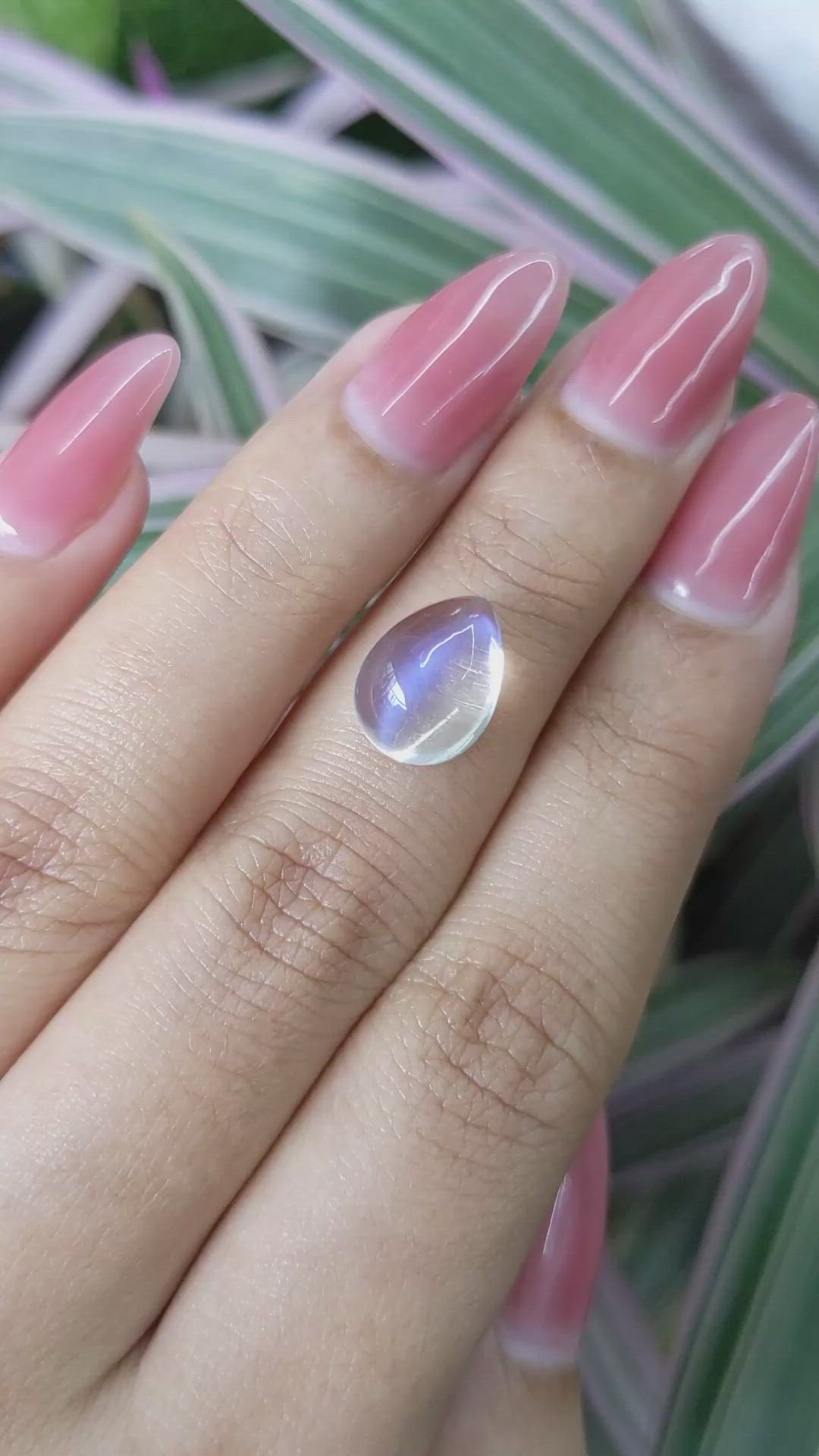 4.81 Ct. Cabochon Moonstone from Madagascar Size Video