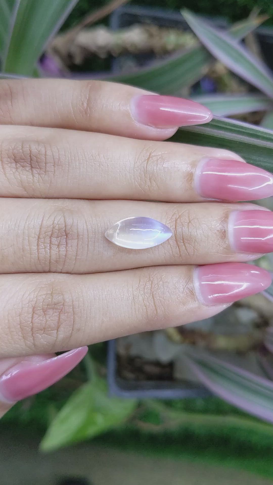 3.32 Ct. Cabochon Moonstone from Madagascar Size Video
