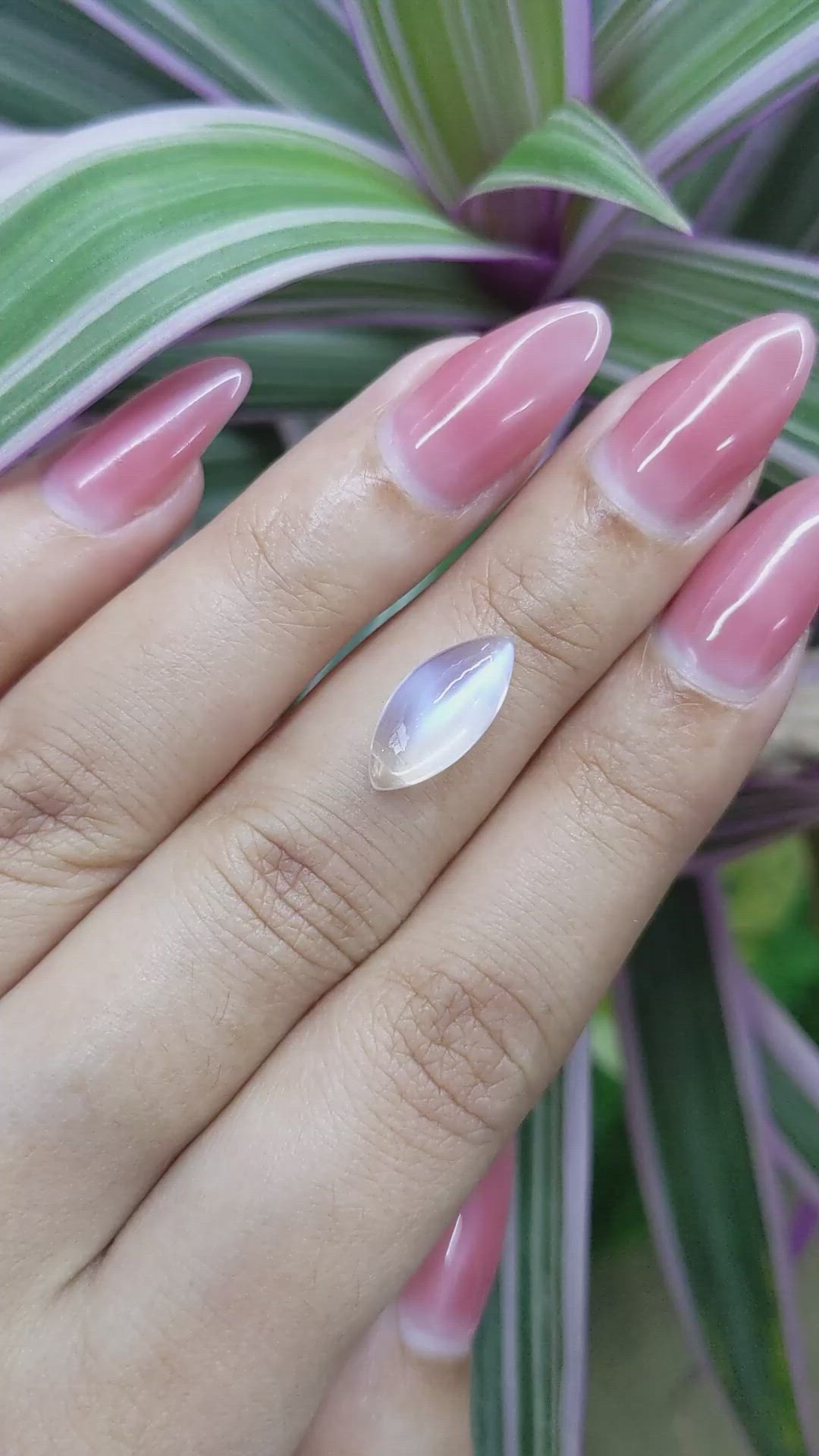 3.32 Ct. Cabochon Moonstone from Madagascar Size Video