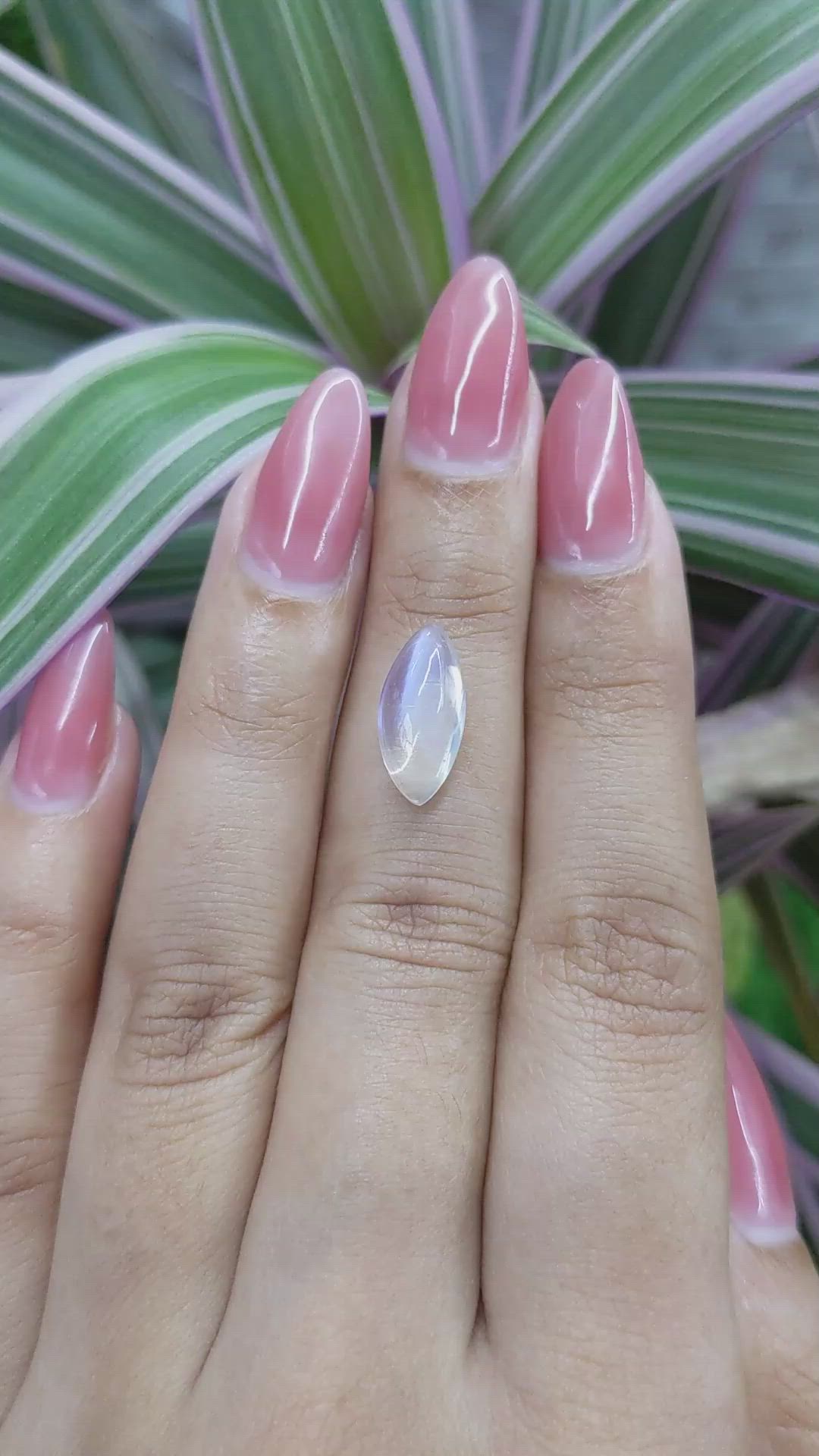 3.32 Ct. Cabochon Moonstone from Madagascar Size Video