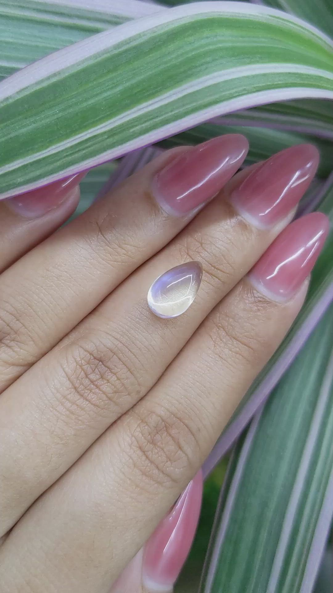 3.12 Ct. Cabochon Moonstone from Madagascar Size Video