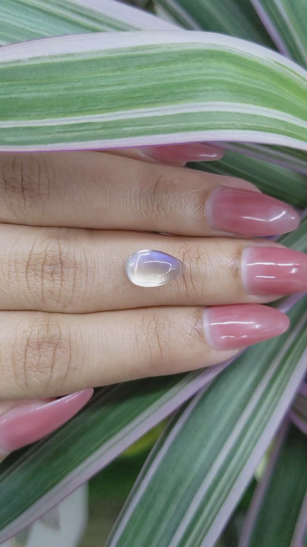 3.12 Ct. Cabochon Moonstone from Madagascar Size Video