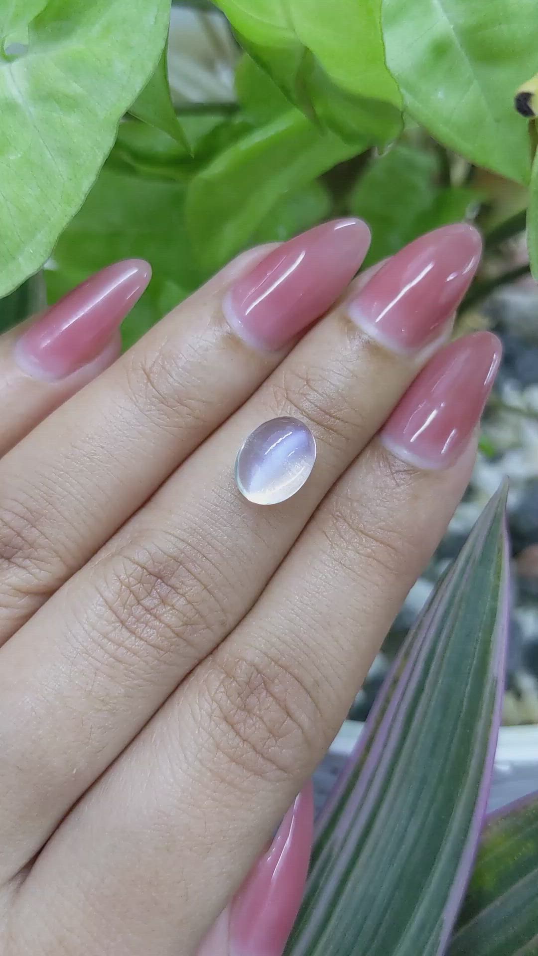 3.04 Ct. Cabochon Moonstone from Madagascar Size Video