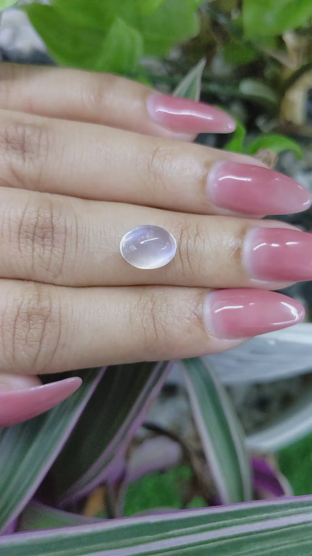 3.04 Ct. Cabochon Moonstone from Madagascar Size Video