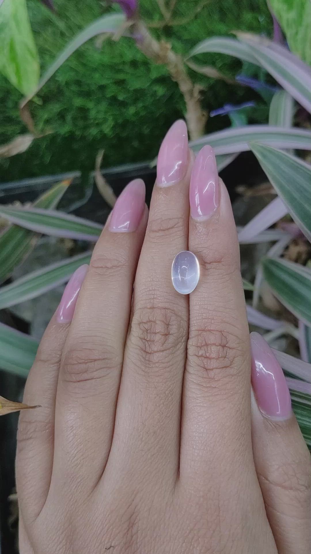 3.06 Ct. Cabochon Moonstone from Madagascar Size Video