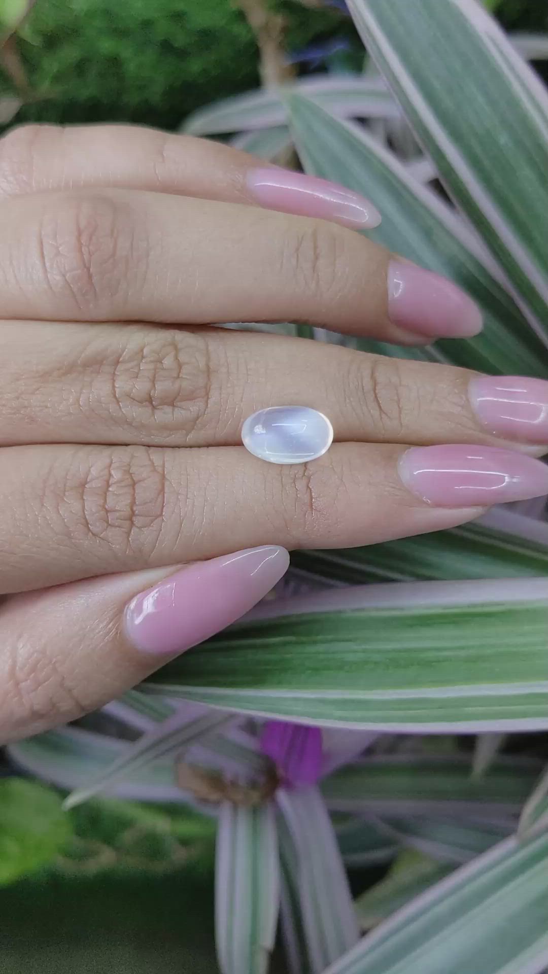 3.06 Ct. Cabochon Moonstone from Madagascar Size Video