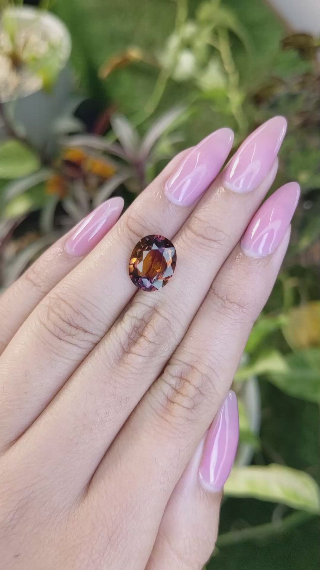 4.37 Ct. Ametrine from Ceylon (Sri Lanka) Size Video