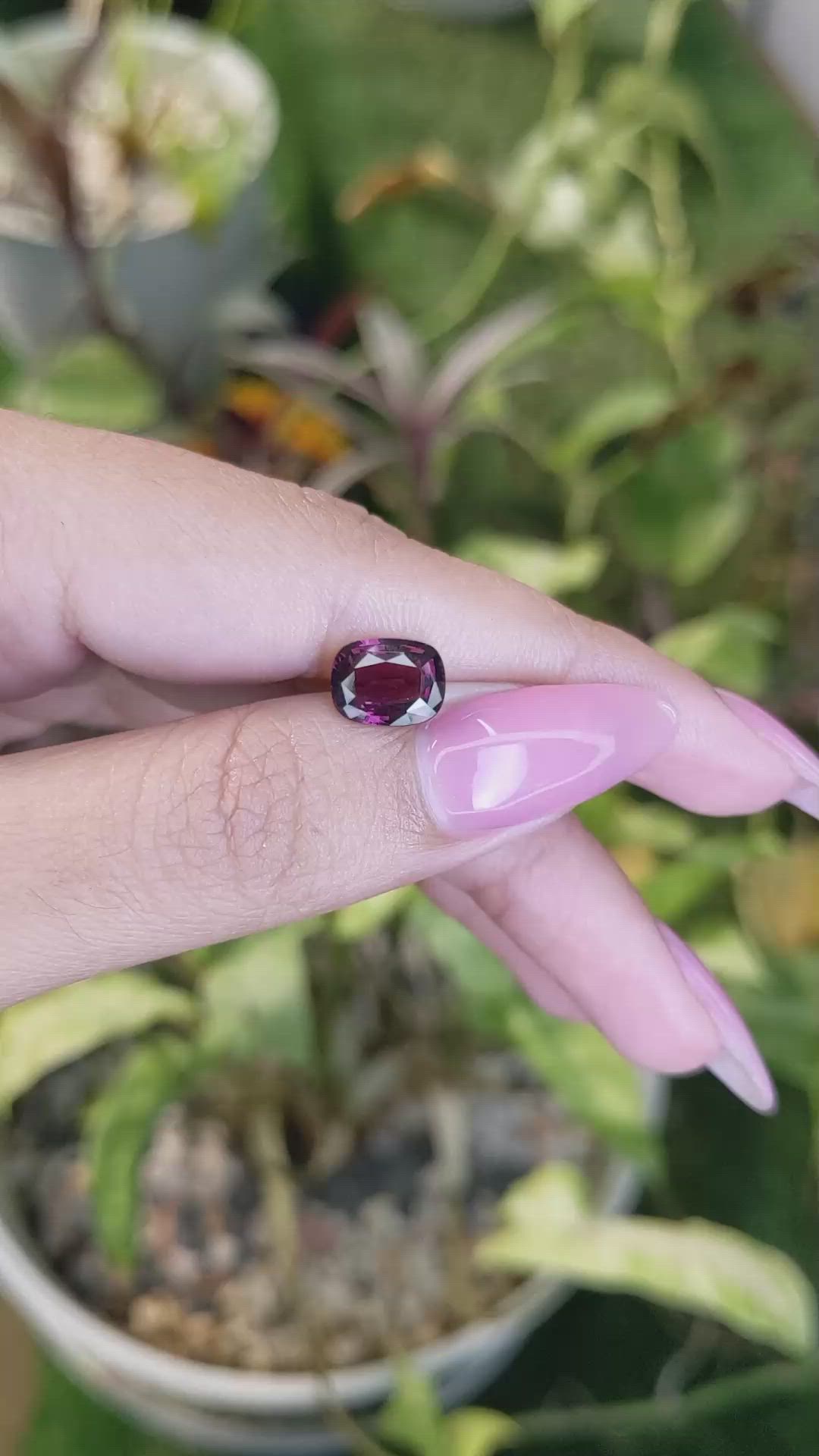 2.30 Ct. Spinel from Ceylon (Sri Lanka) Size Video