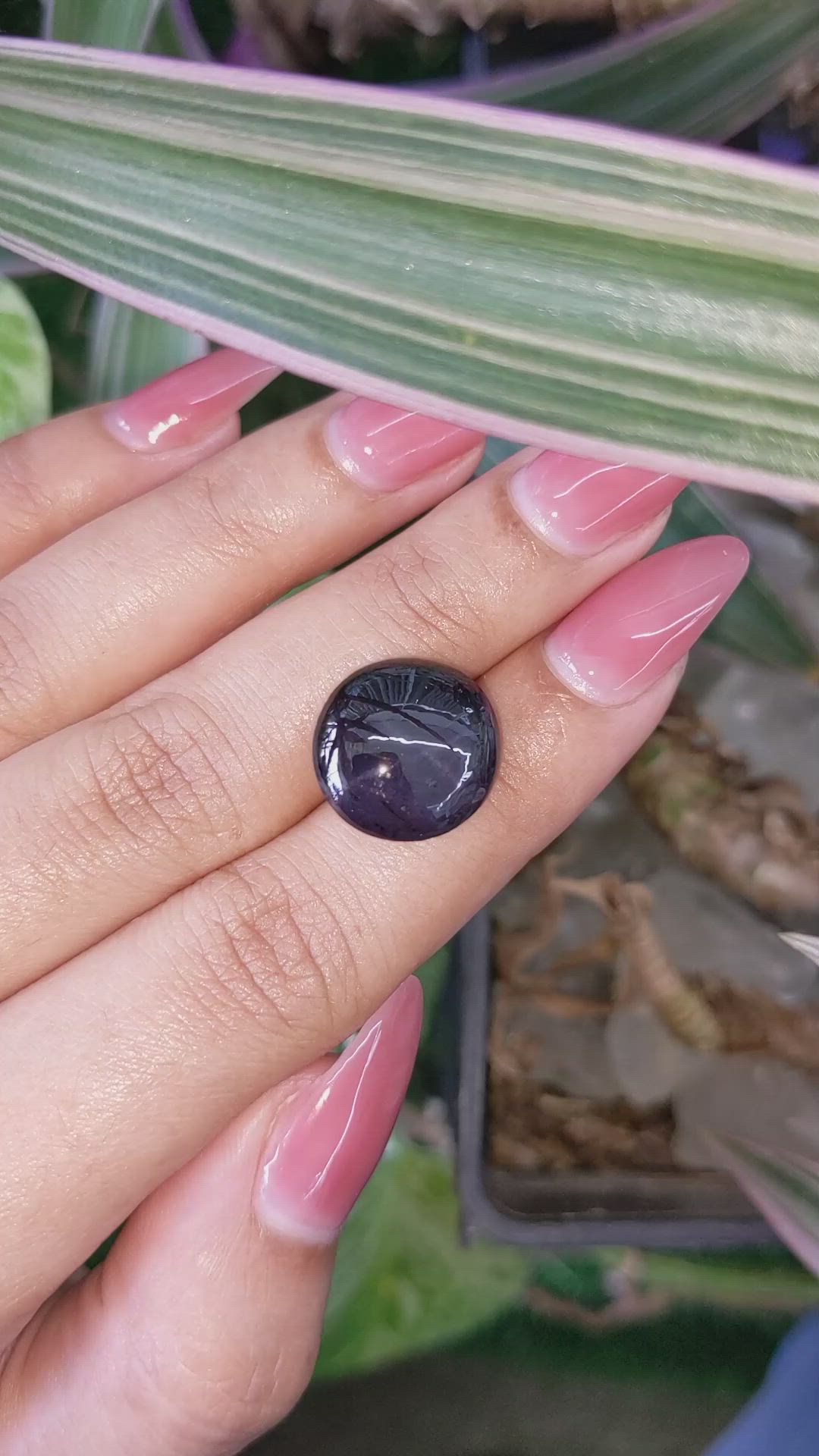 18.24 Ct. Purple Star Garnet from Ceylon (Sri Lanka) Size Video