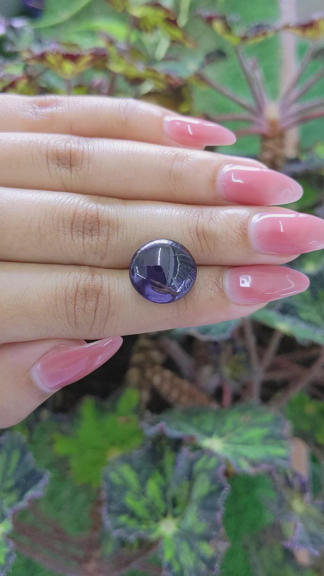 18.24 Ct. Purple Star Garnet from Ceylon (Sri Lanka) Size Video