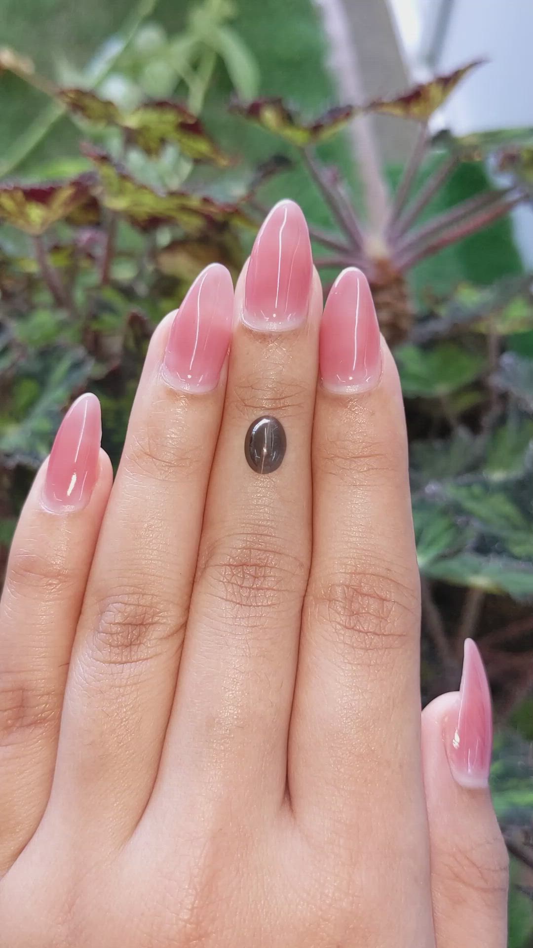 1.78 Ct. Cabochon Kornerupine from Ceylon (Sri Lanka) Size Video