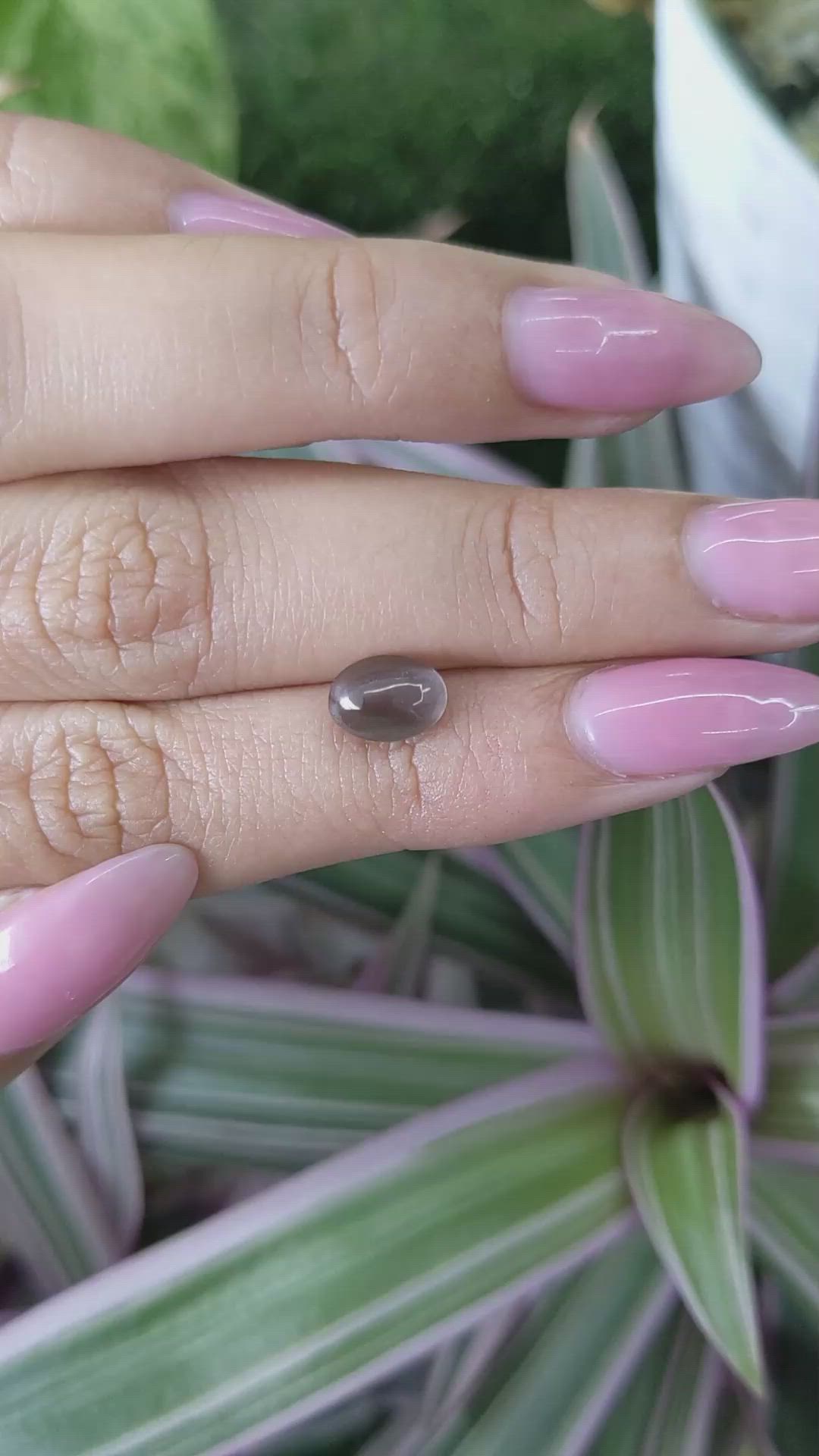 1.48 Ct. Cabochon Kornerupine from Ceylon (Sri Lanka) Size Video