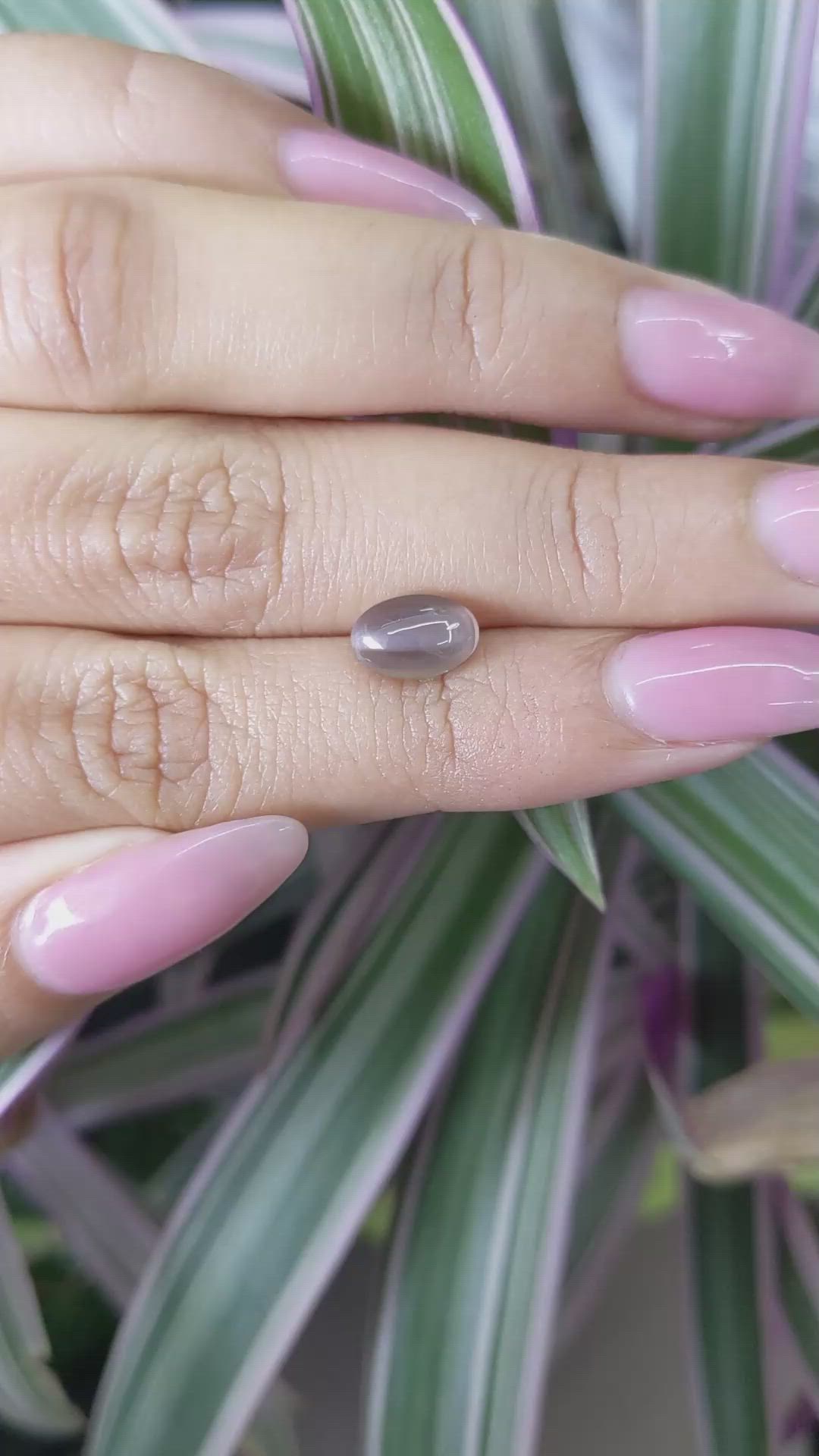 1.69 Ct. Cabochon Kornerupine from Ceylon (Sri Lanka) Size Video