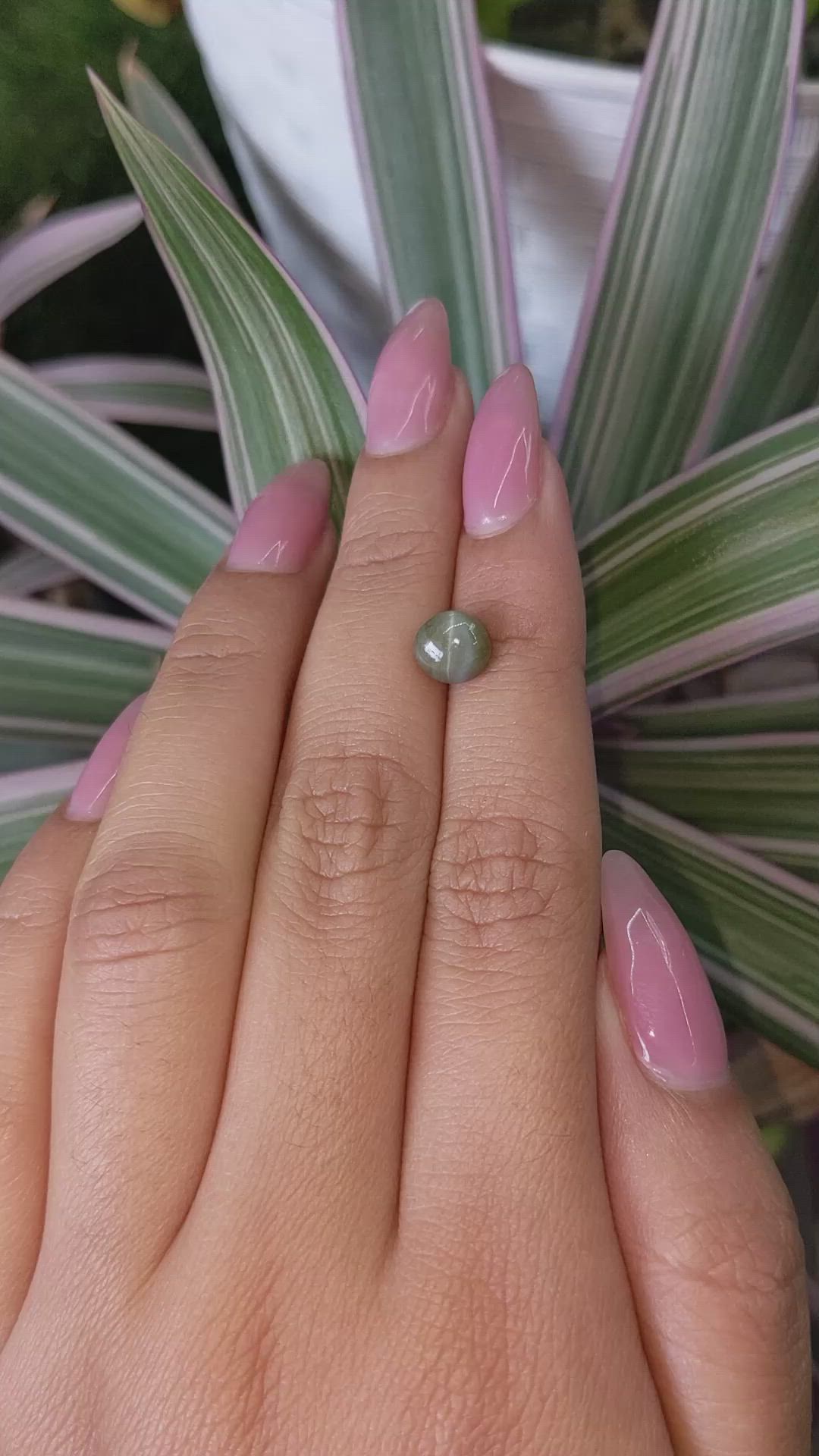 2.33 Ct. Cabochon Chrysoberyl from Ceylon (Sri Lanka) Size Video