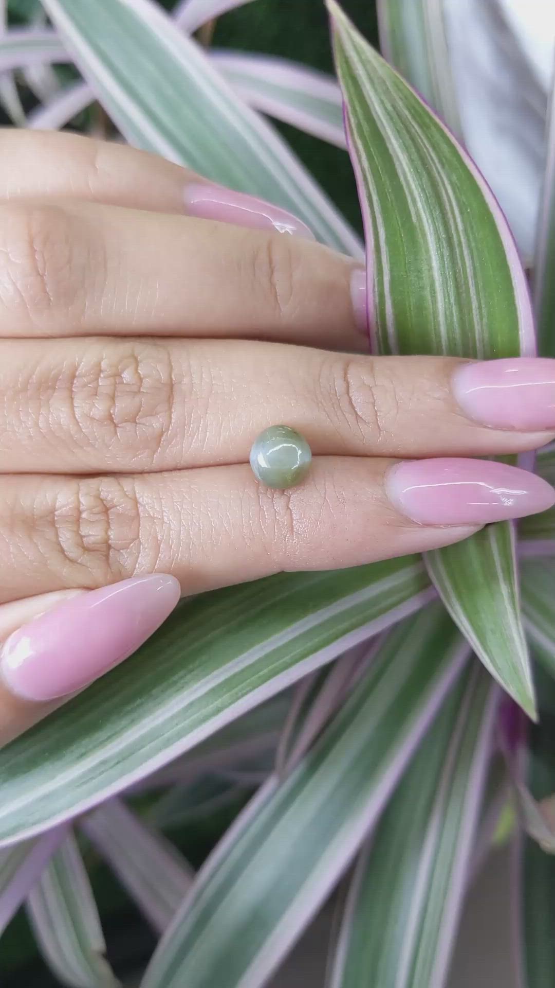 2.33 Ct. Cabochon Chrysoberyl from Ceylon (Sri Lanka) Size Video