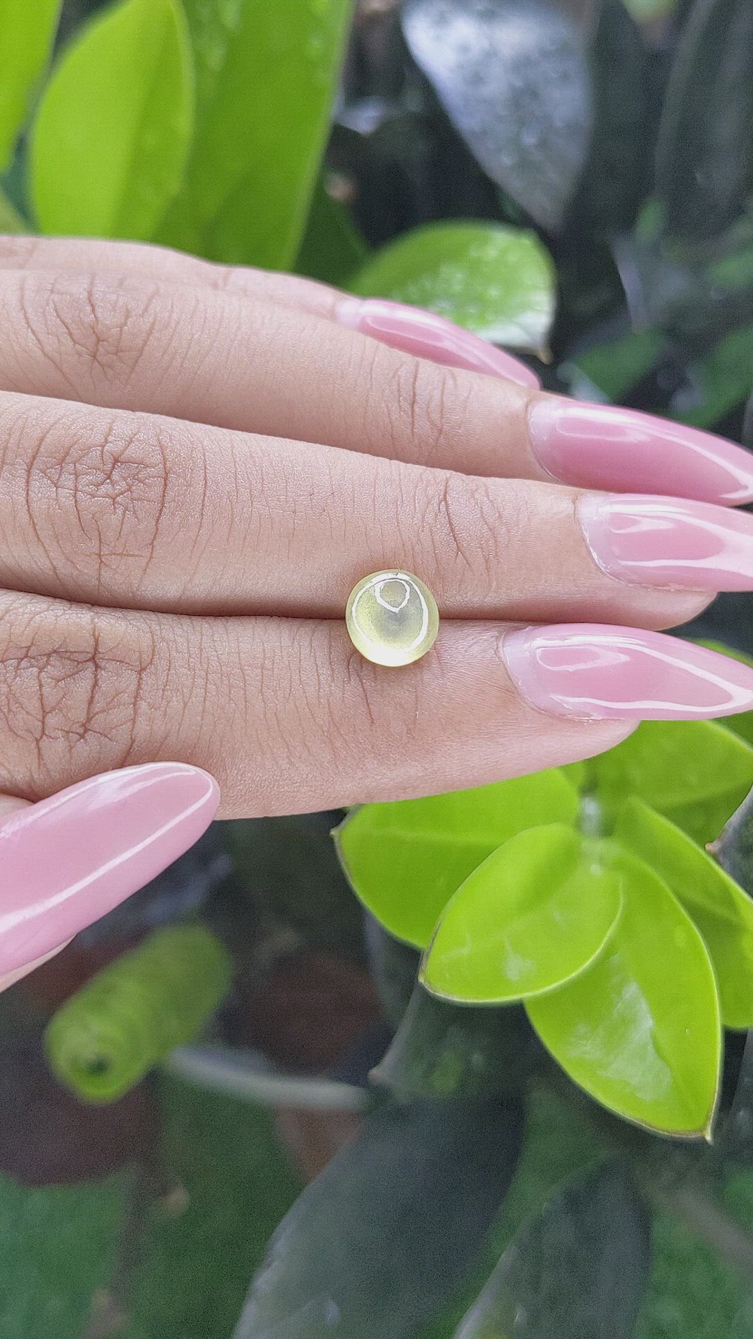 1.68 Ct. Cabochon Chrysoberyl from Ceylon (Sri Lanka) Size Video