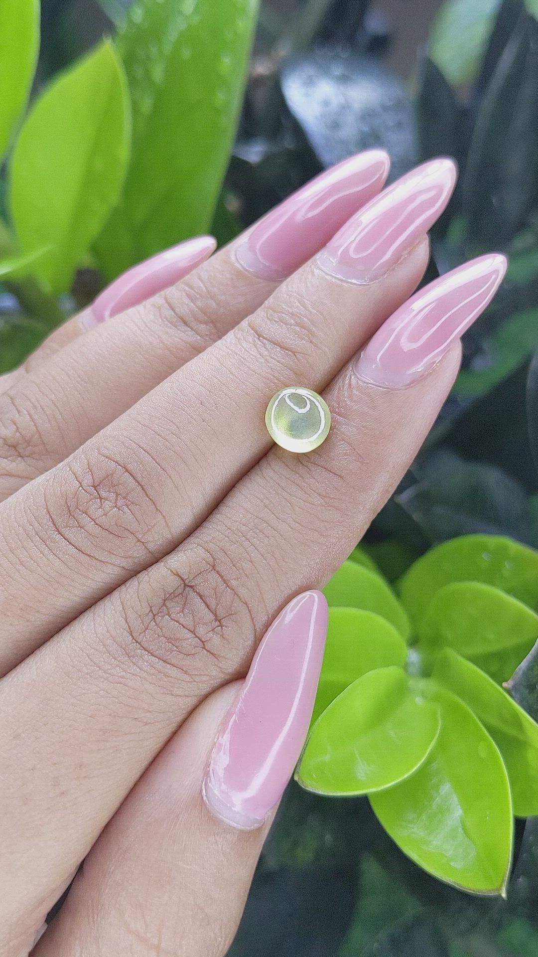 1.68 Ct. Cabochon Chrysoberyl from Ceylon (Sri Lanka) Size Video