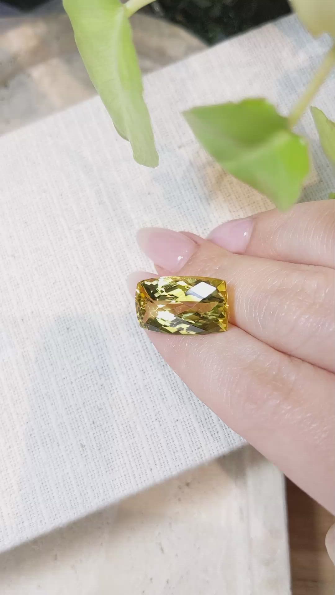 14.01 Ct. Beryl from Madagascar Size Video