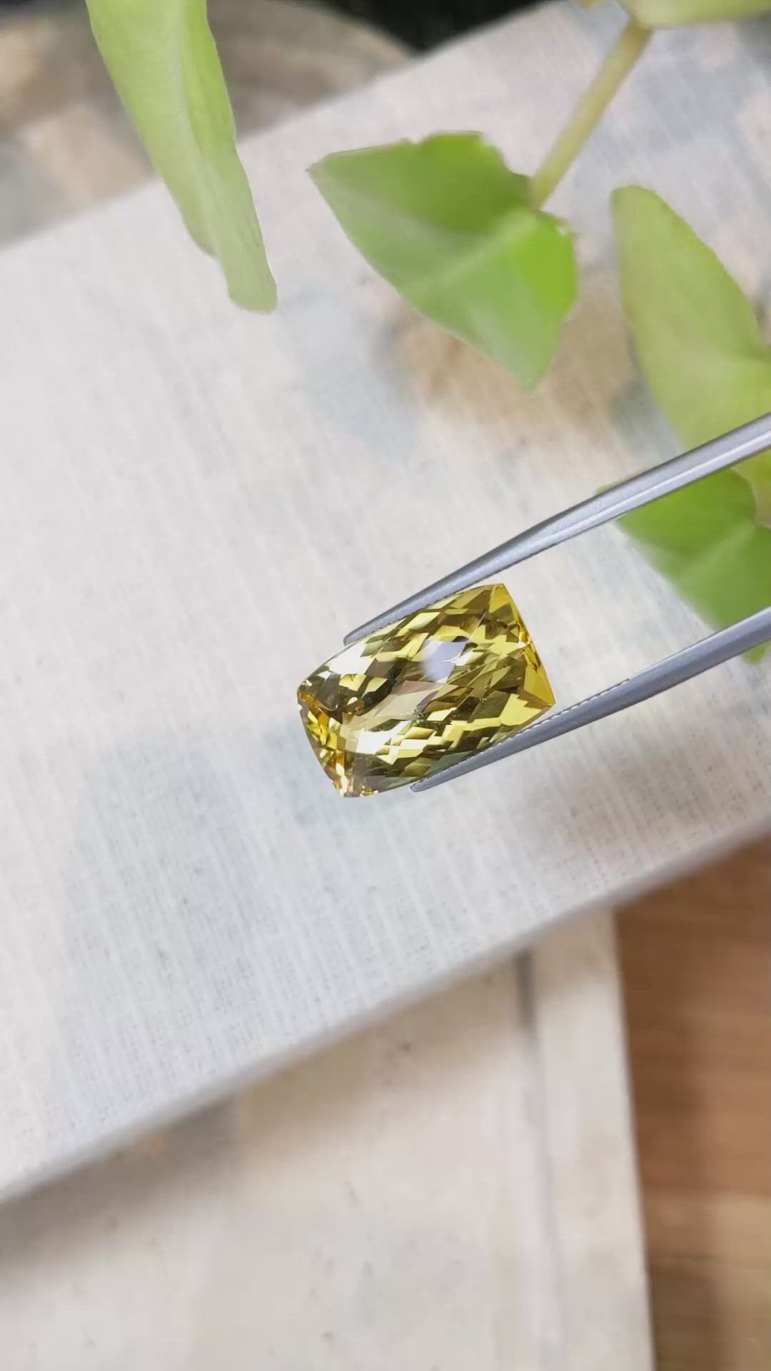 14.01 Ct. Beryl from Madagascar Size Video