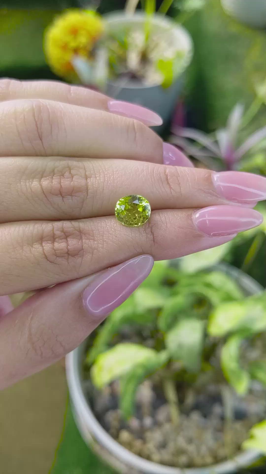 2.56 Ct. Chrysoberyl from Ceylon (Sri Lanka) Size Video