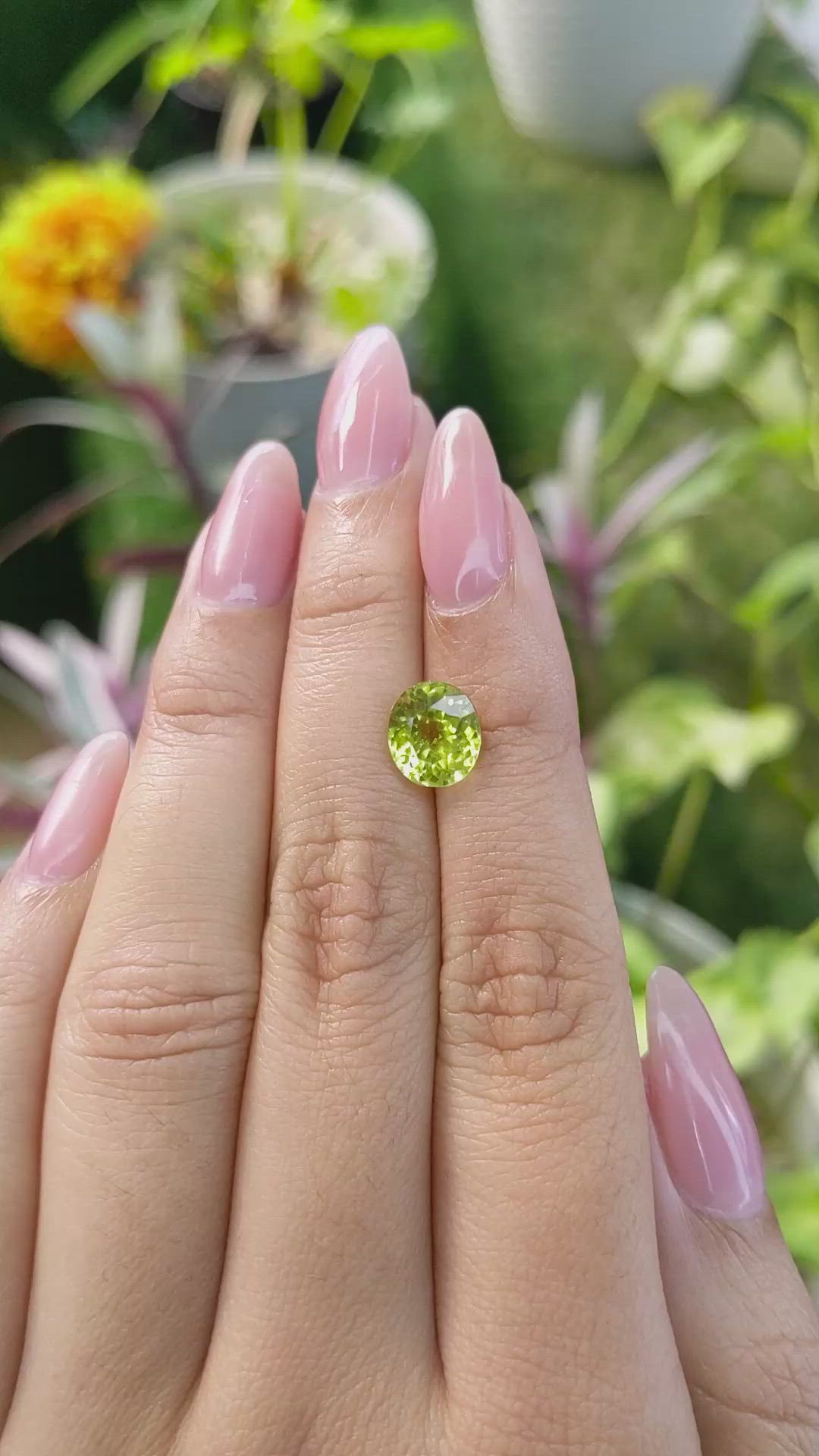 2.56 Ct. Chrysoberyl from Ceylon (Sri Lanka) Size Video