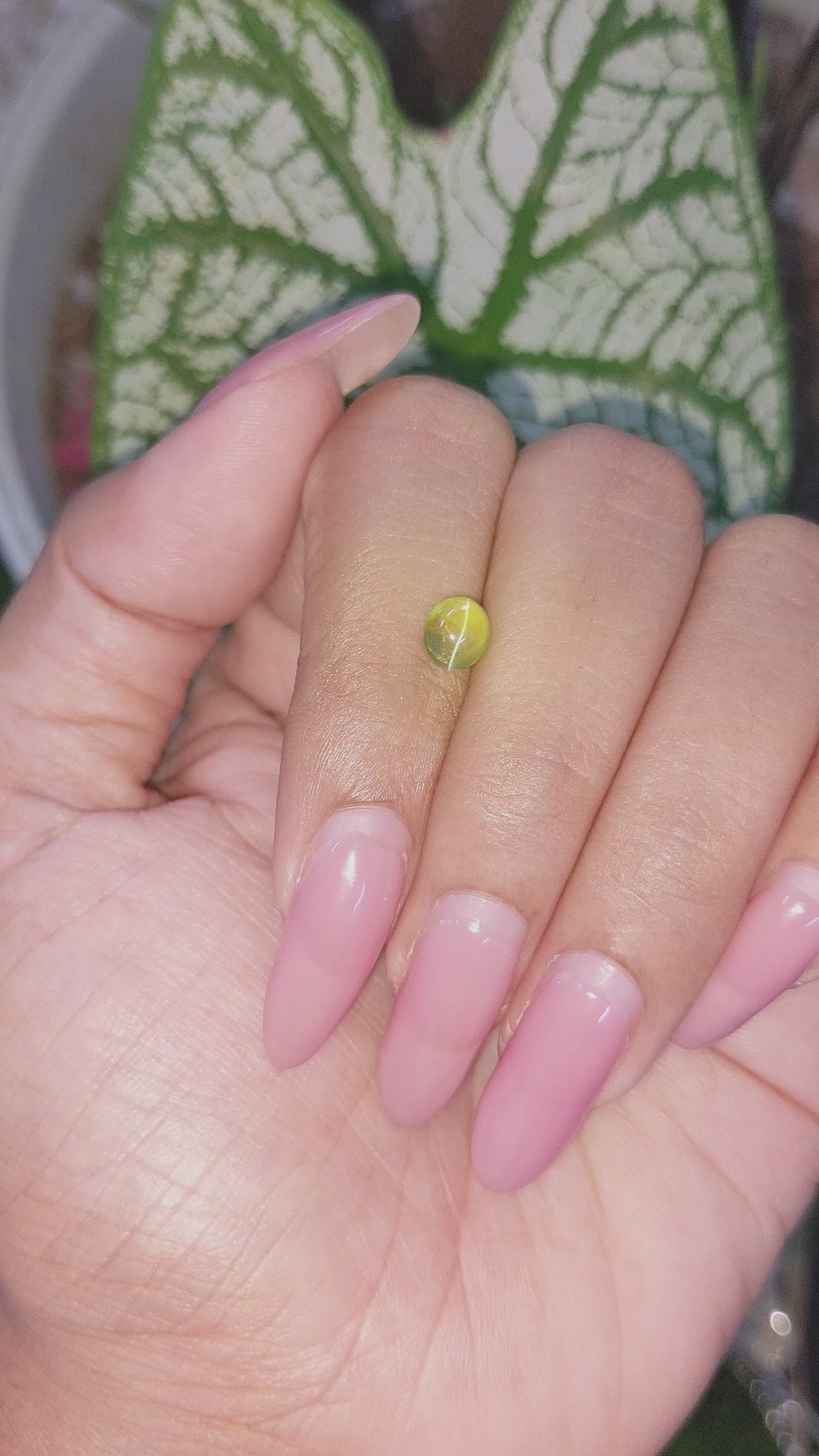 1.17 Ct. Cabochon Chrysoberyl from Madagascar Size Video